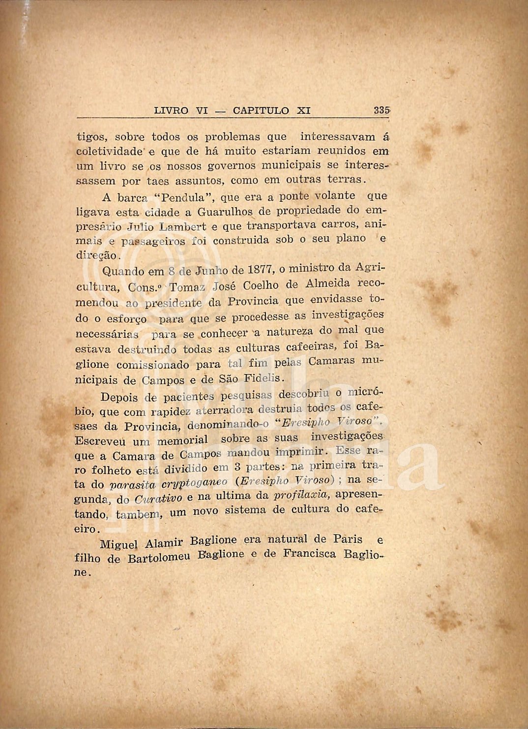 Página 374