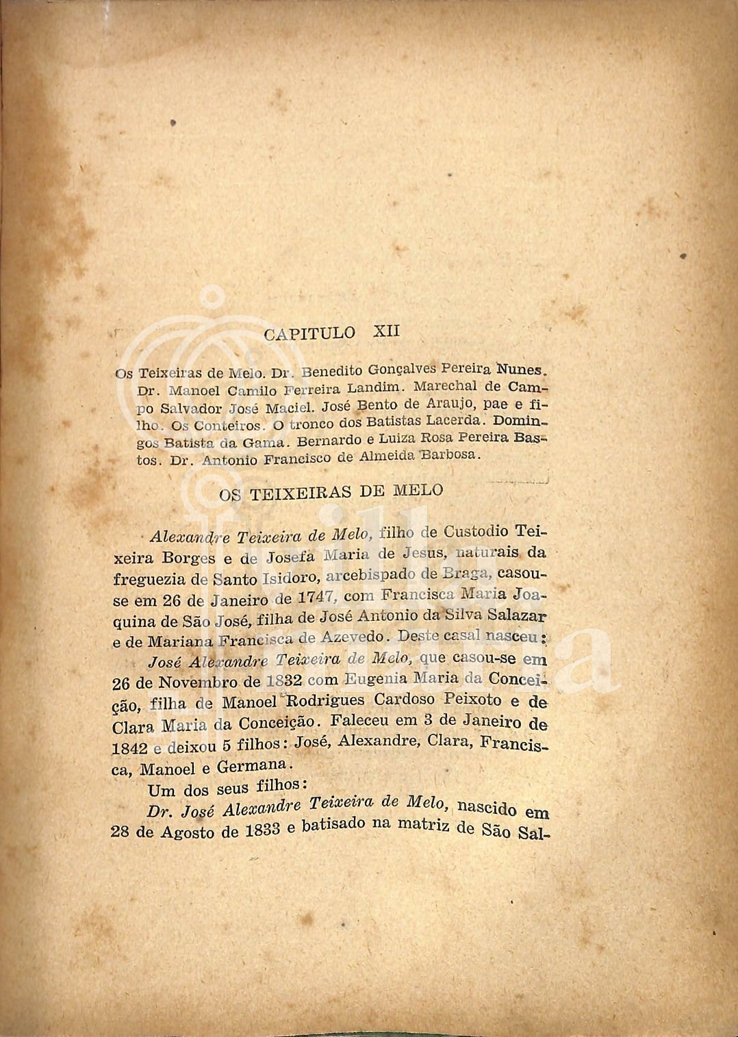 Página 394