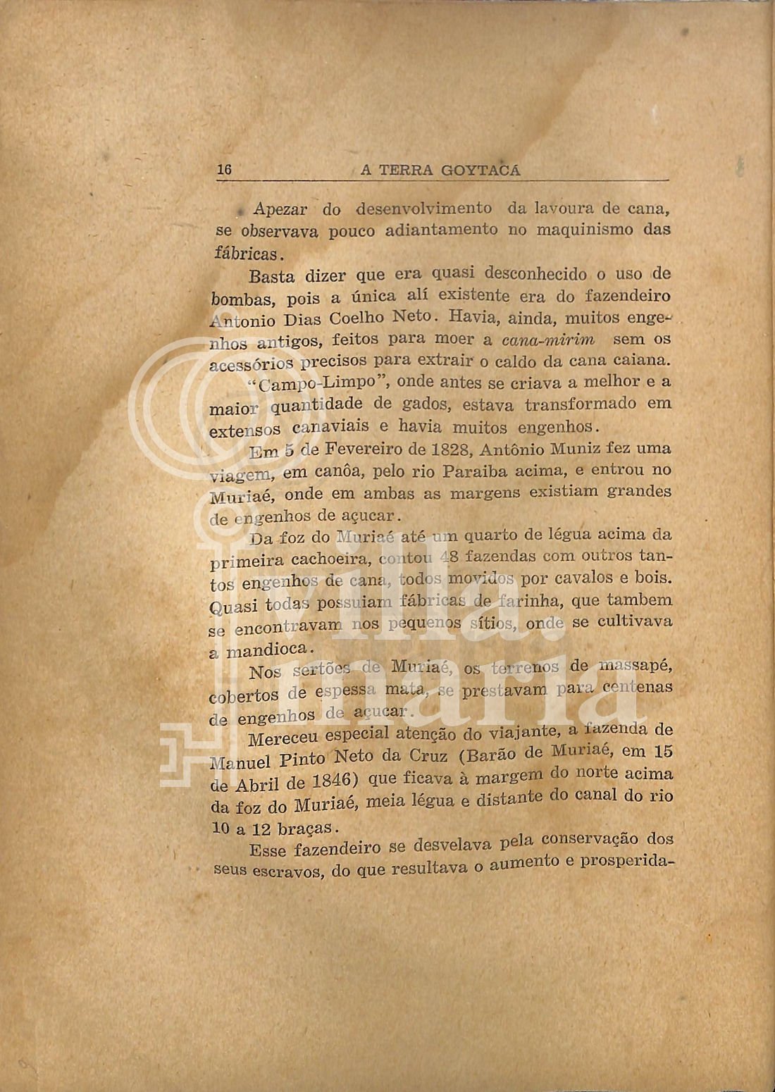 Página 19