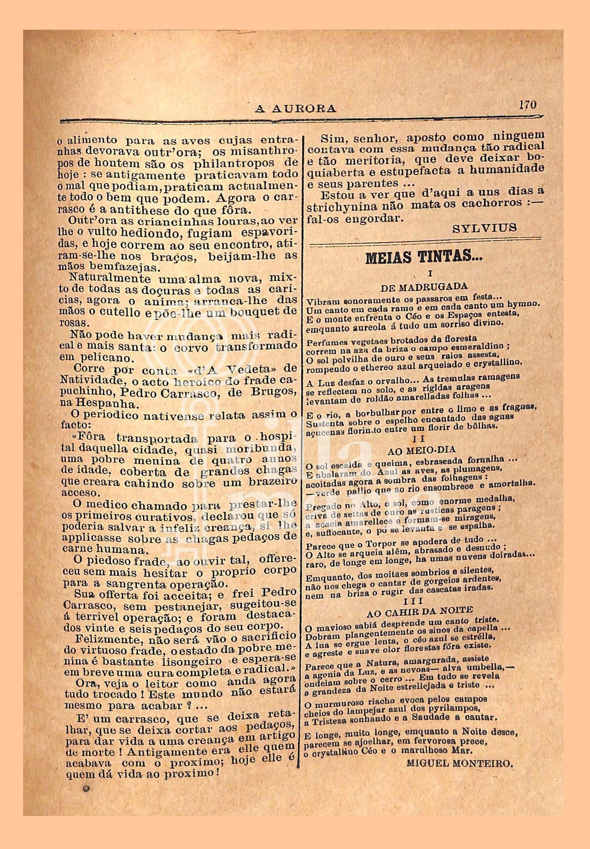 Página 194