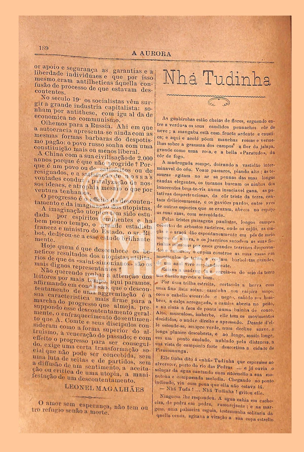 Página 213