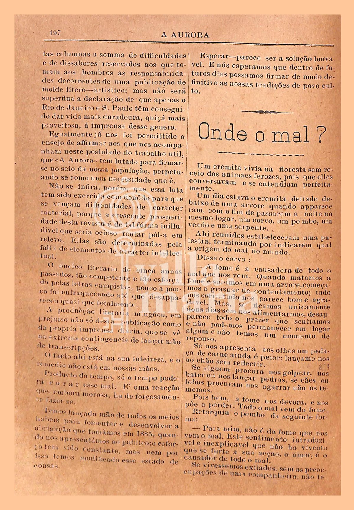 Página 221
