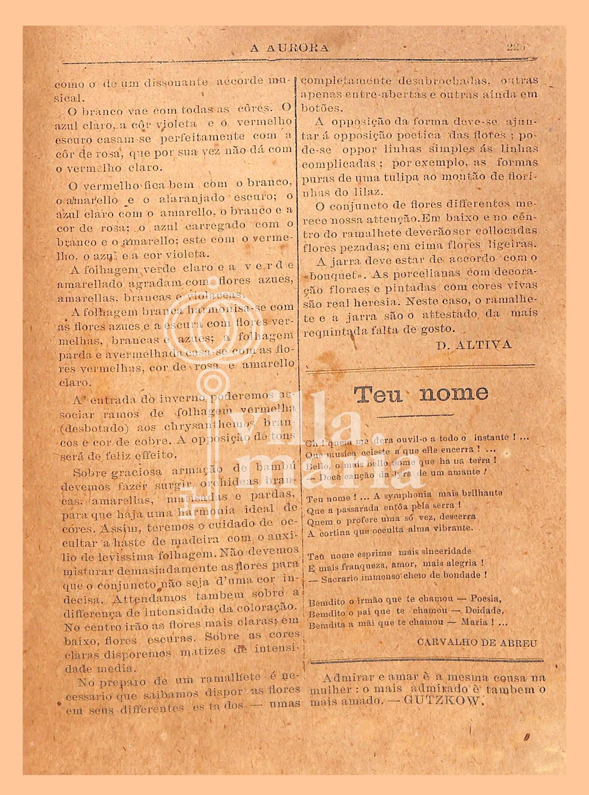 Página 250