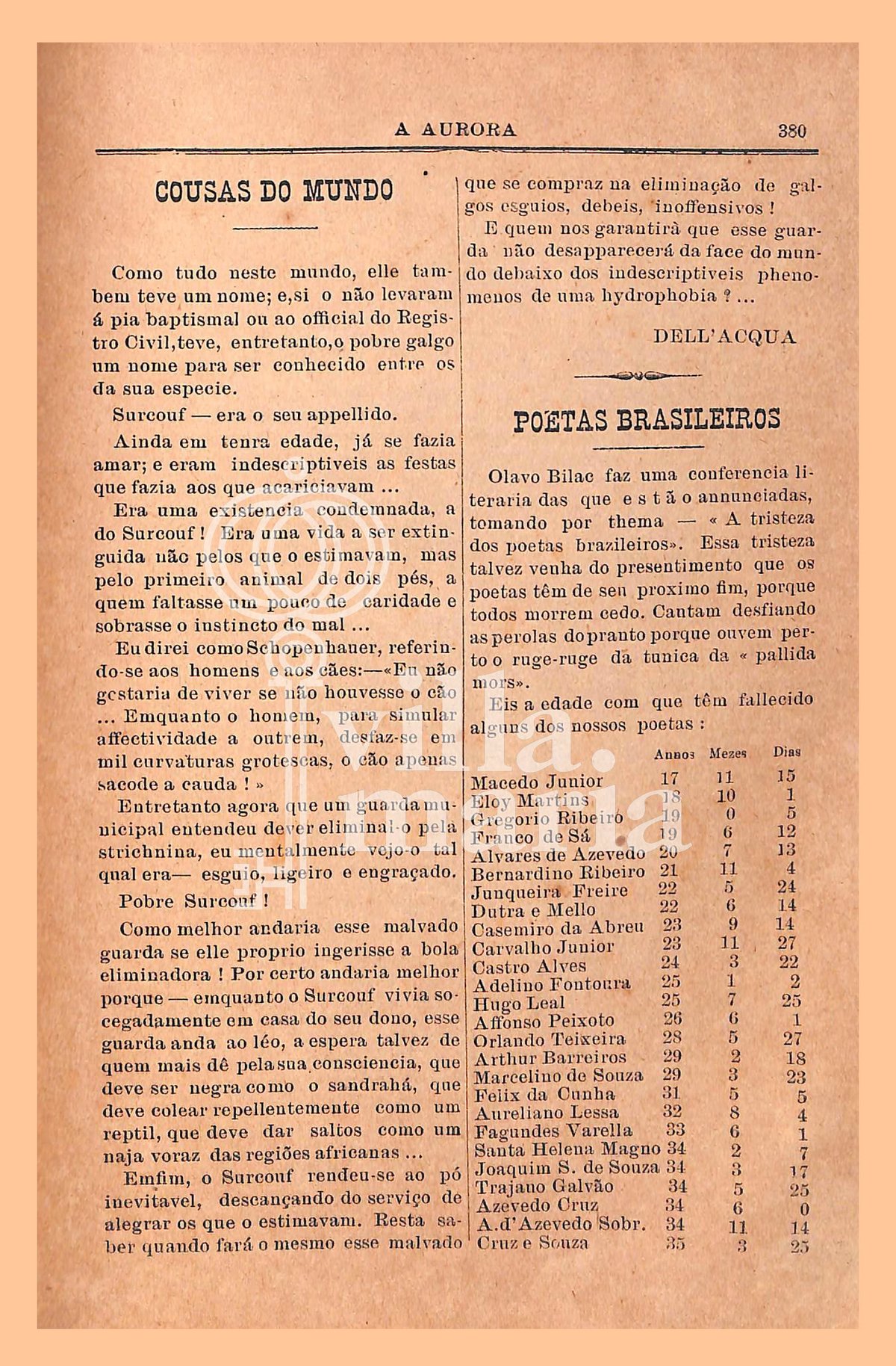 Página 302