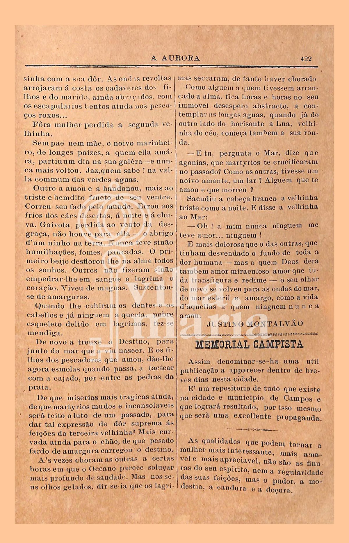 Página 344