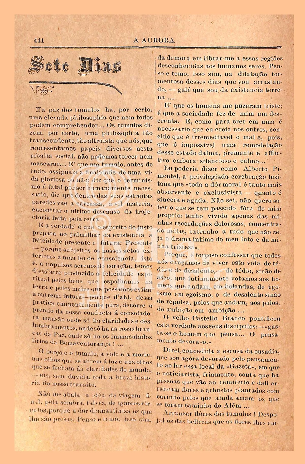 Página 363