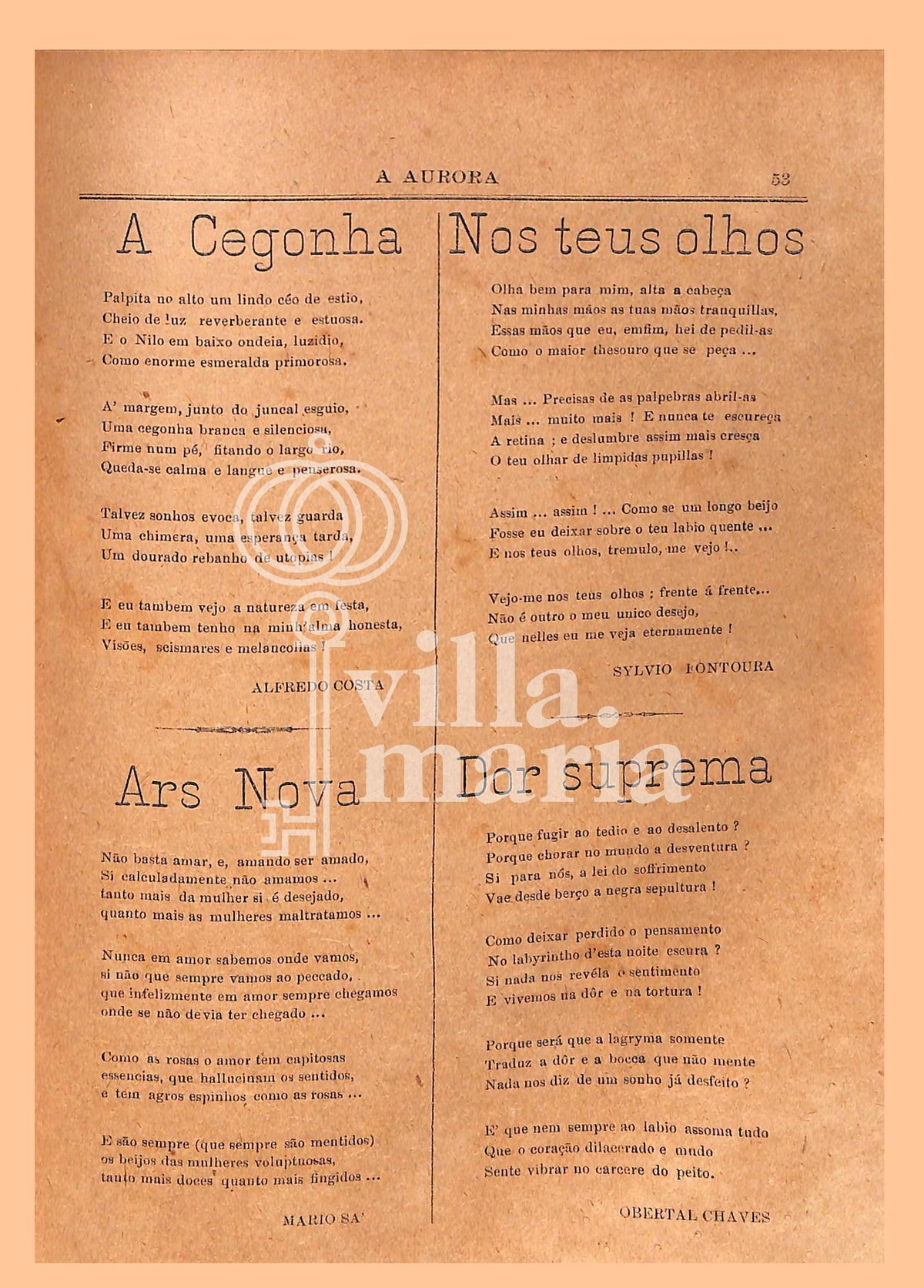 Página 82