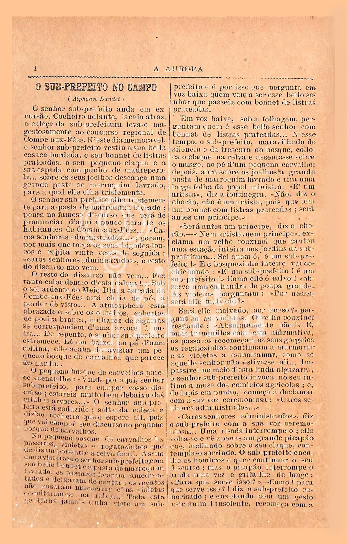 Página 41