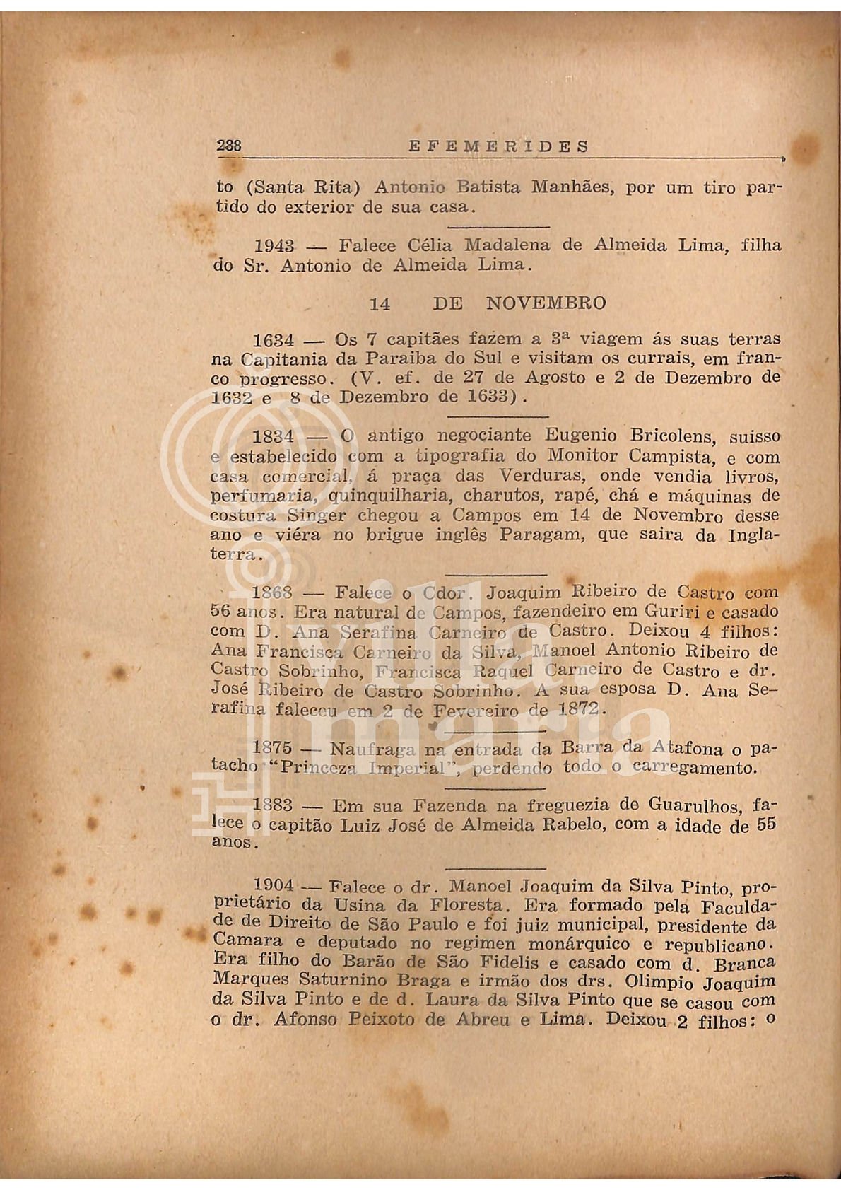 Página 291