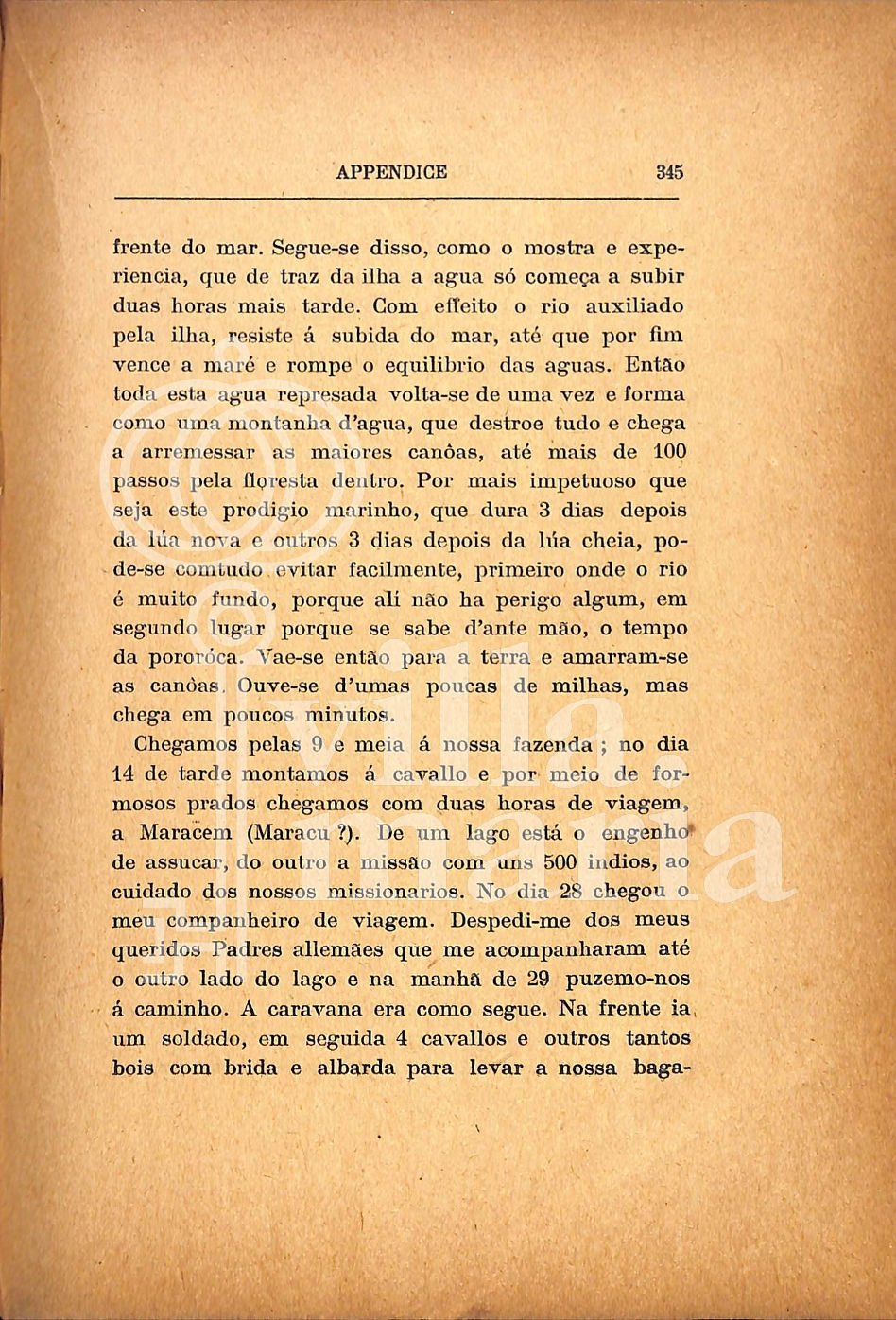 Página 357