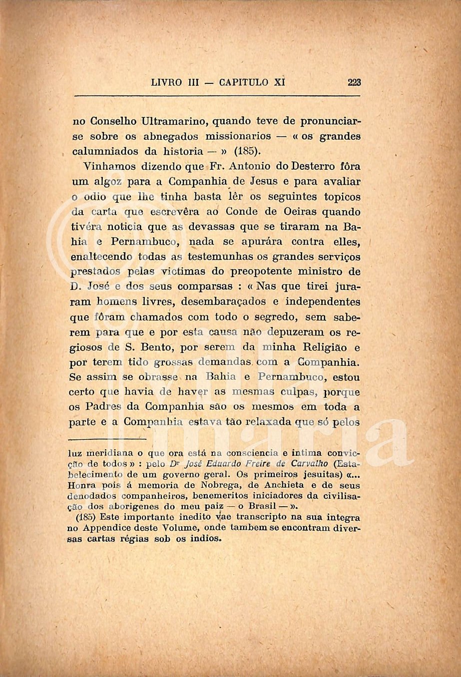Página 233