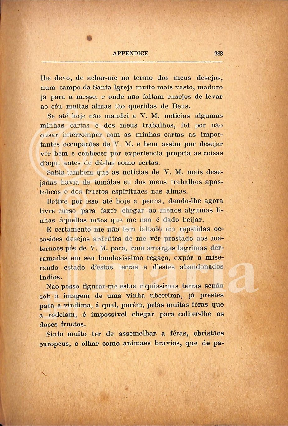 Página 295