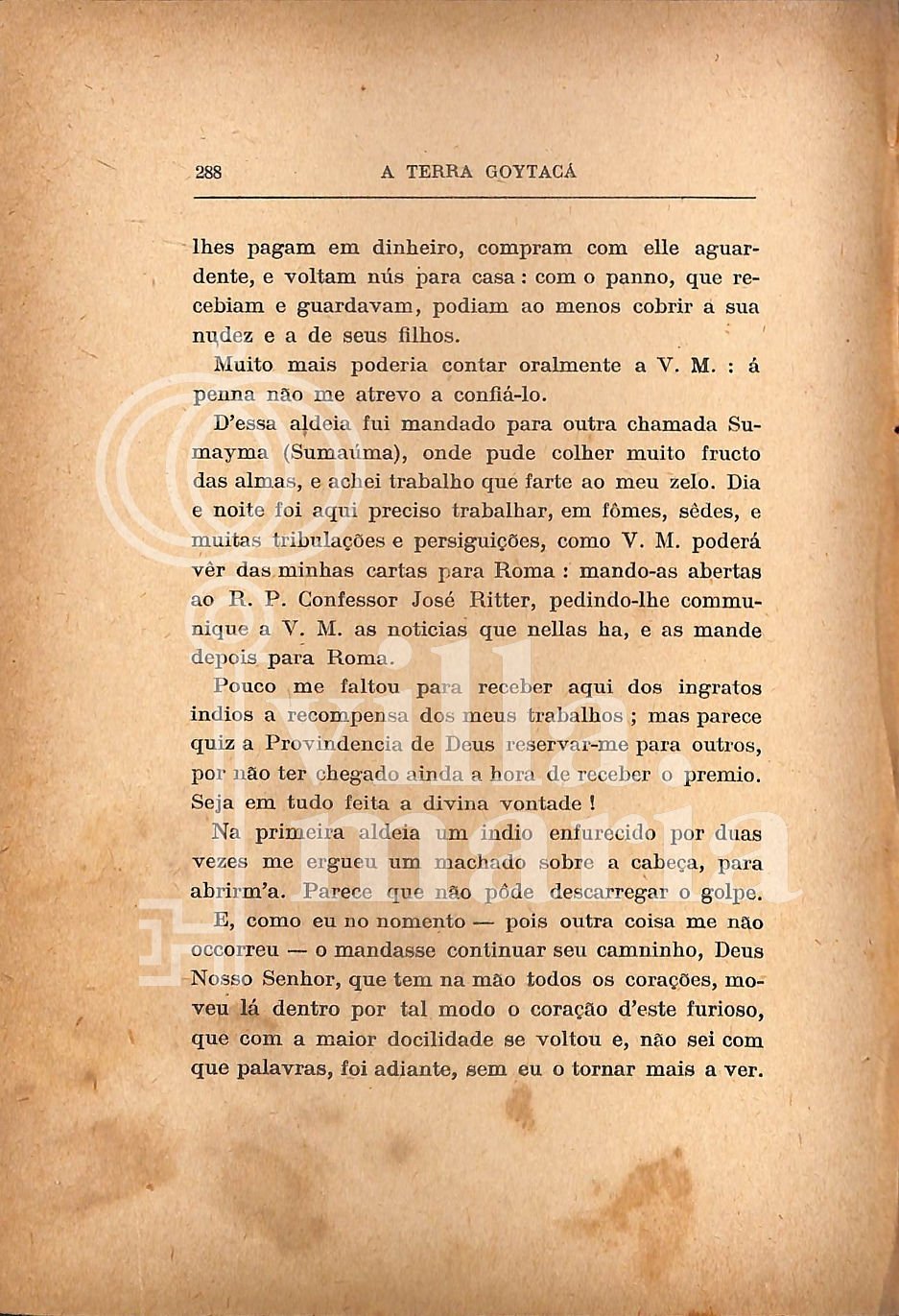 Página 300