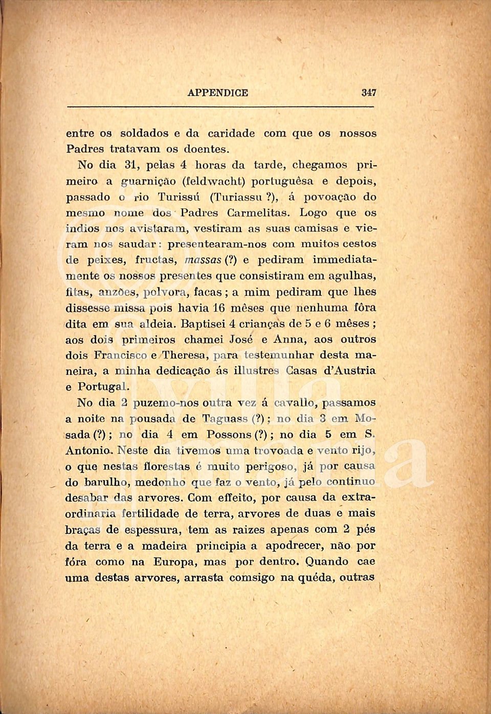 Página 359