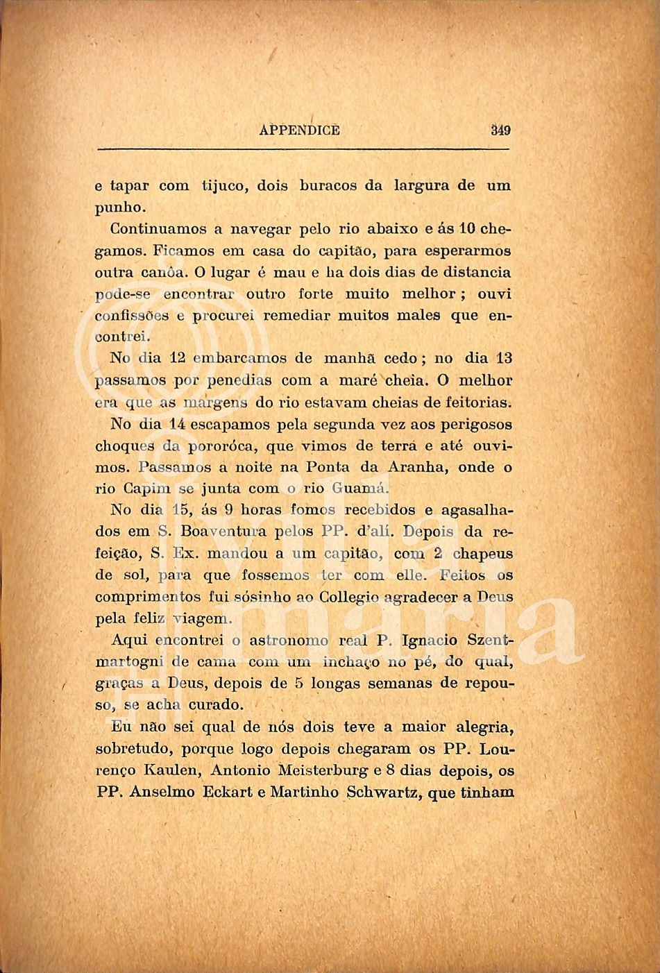 Página 361