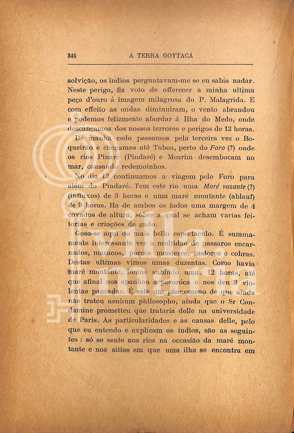 Página 356