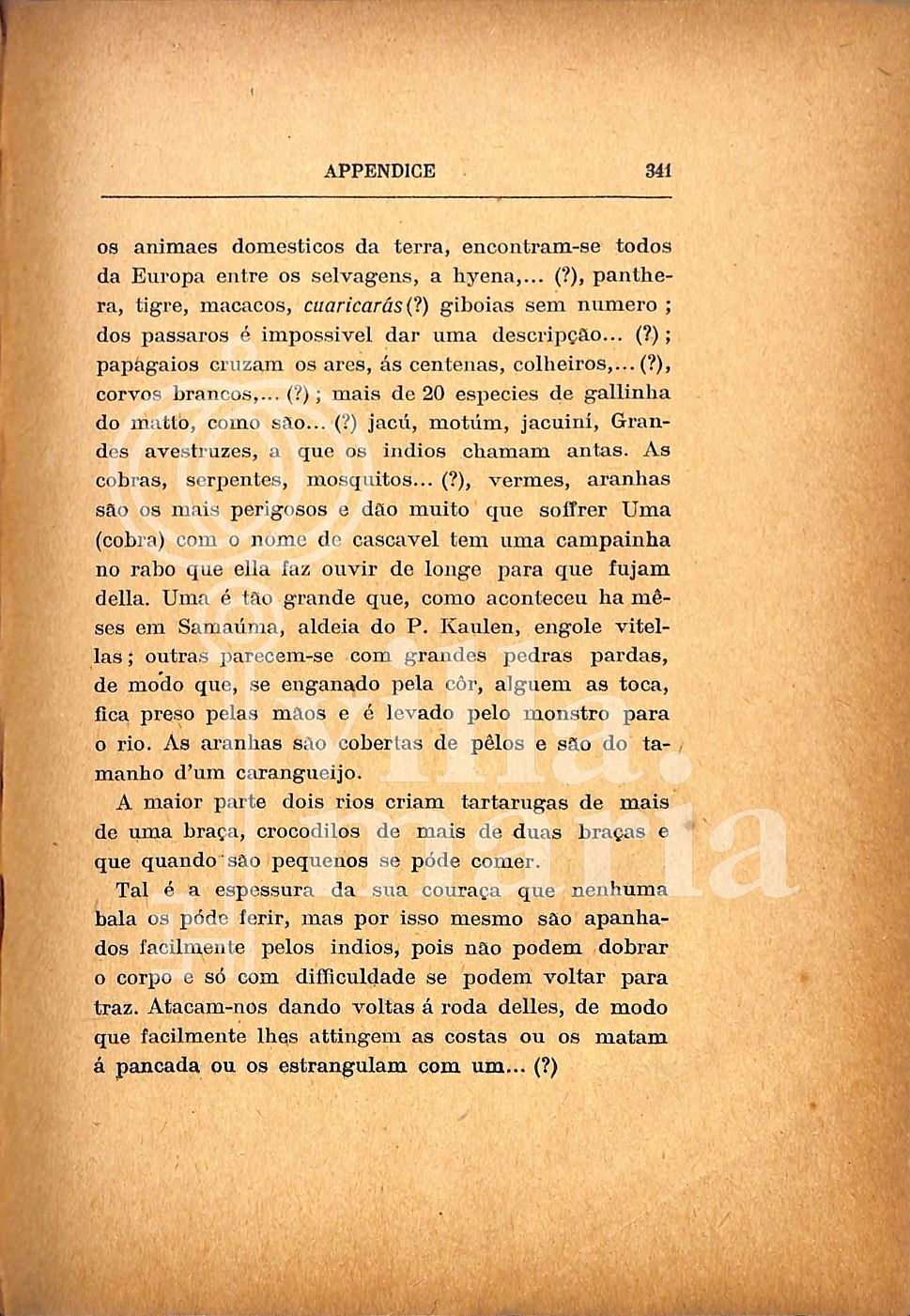 Página 353