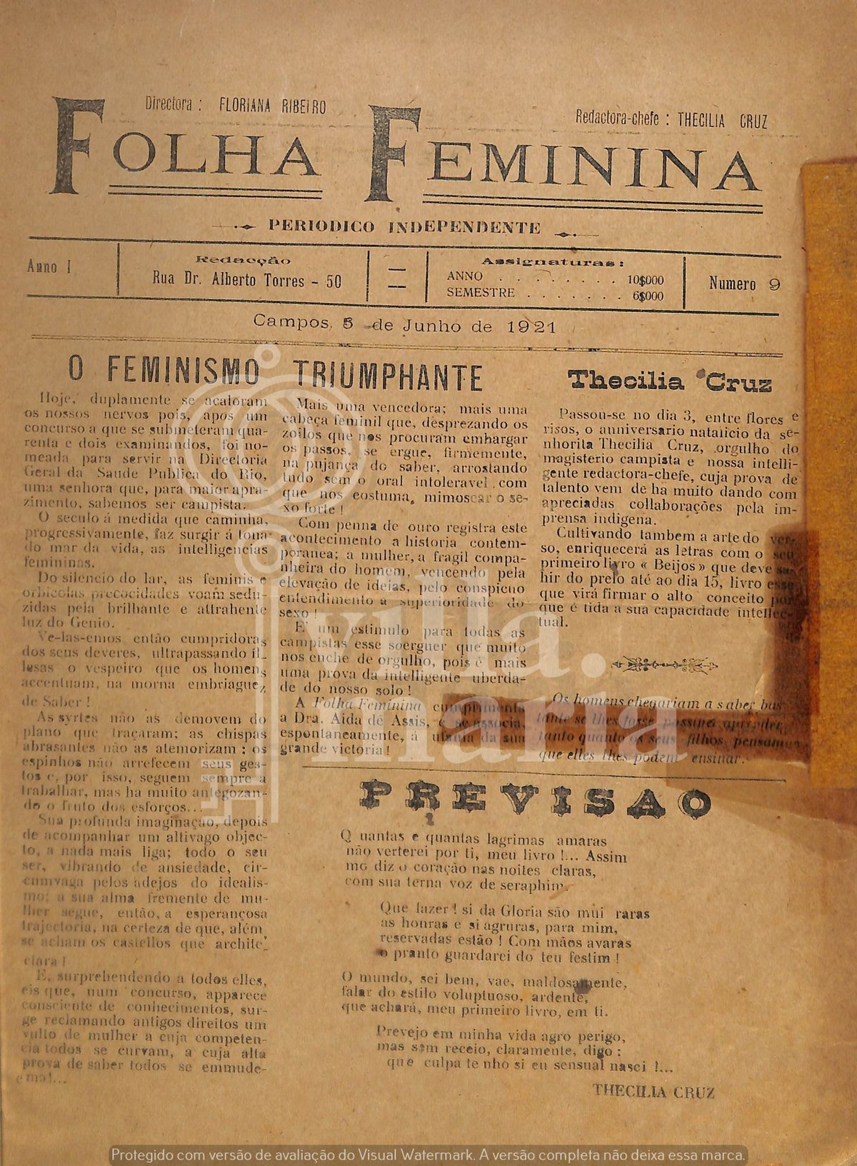 Página 31
