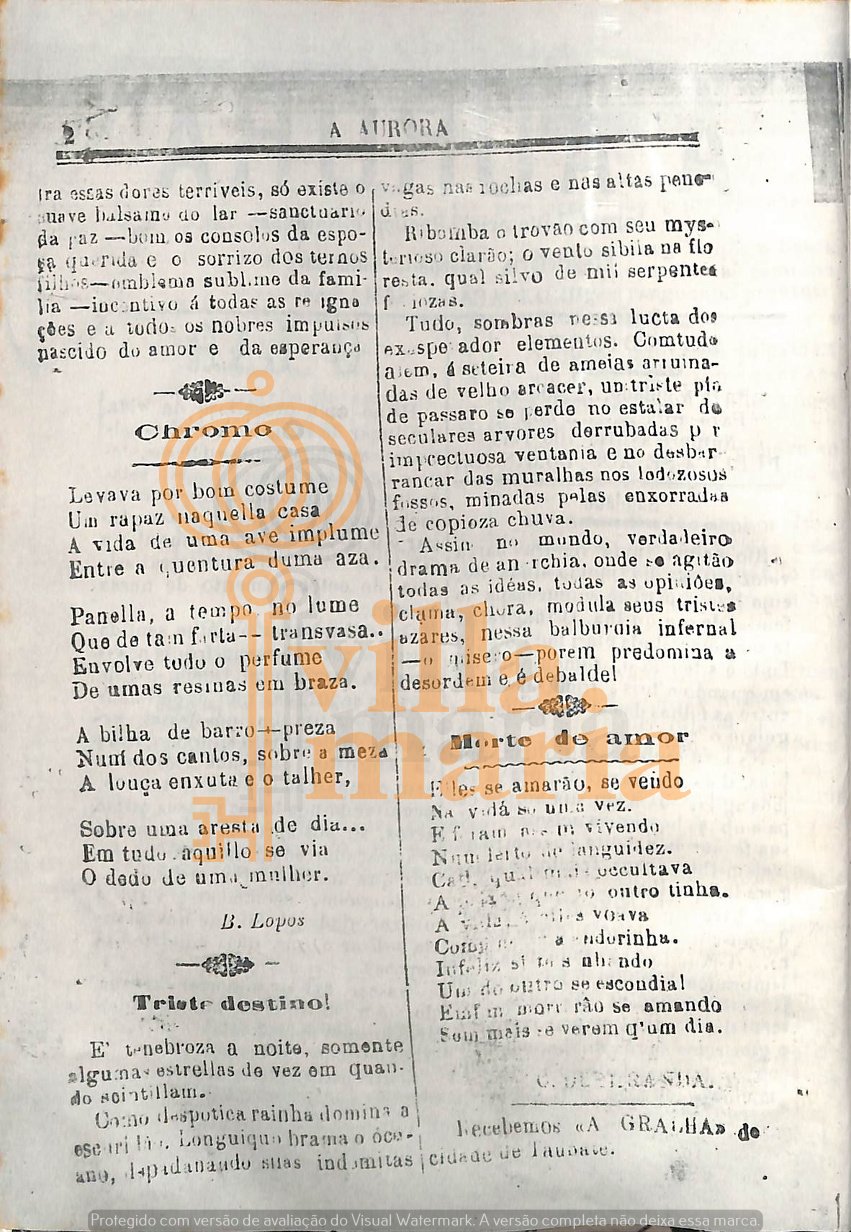 Página 20