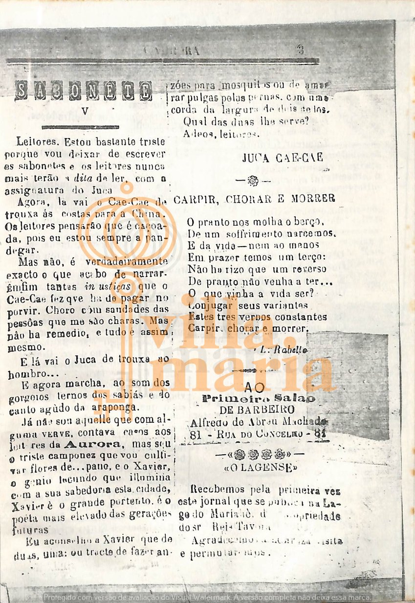 Página 21