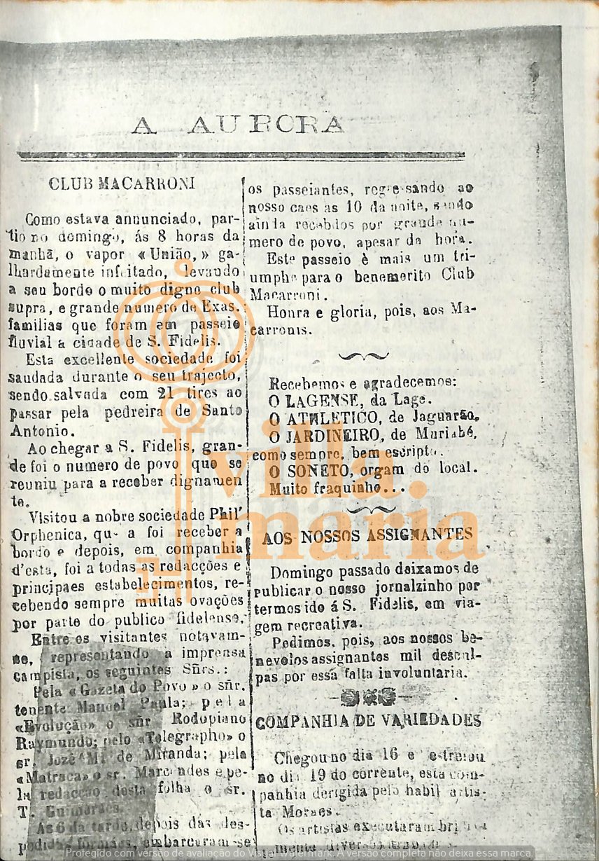 Página 81
