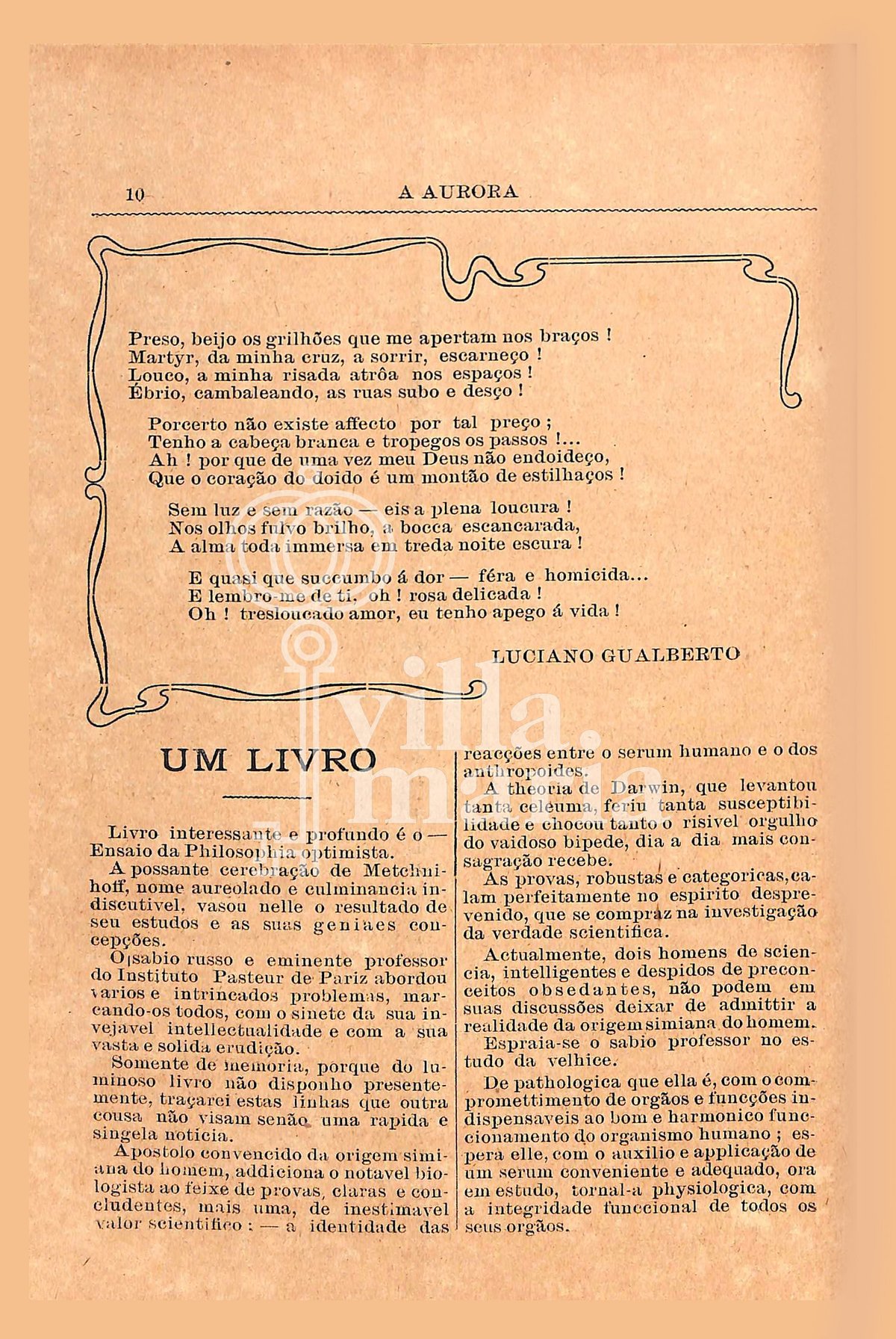Página 12