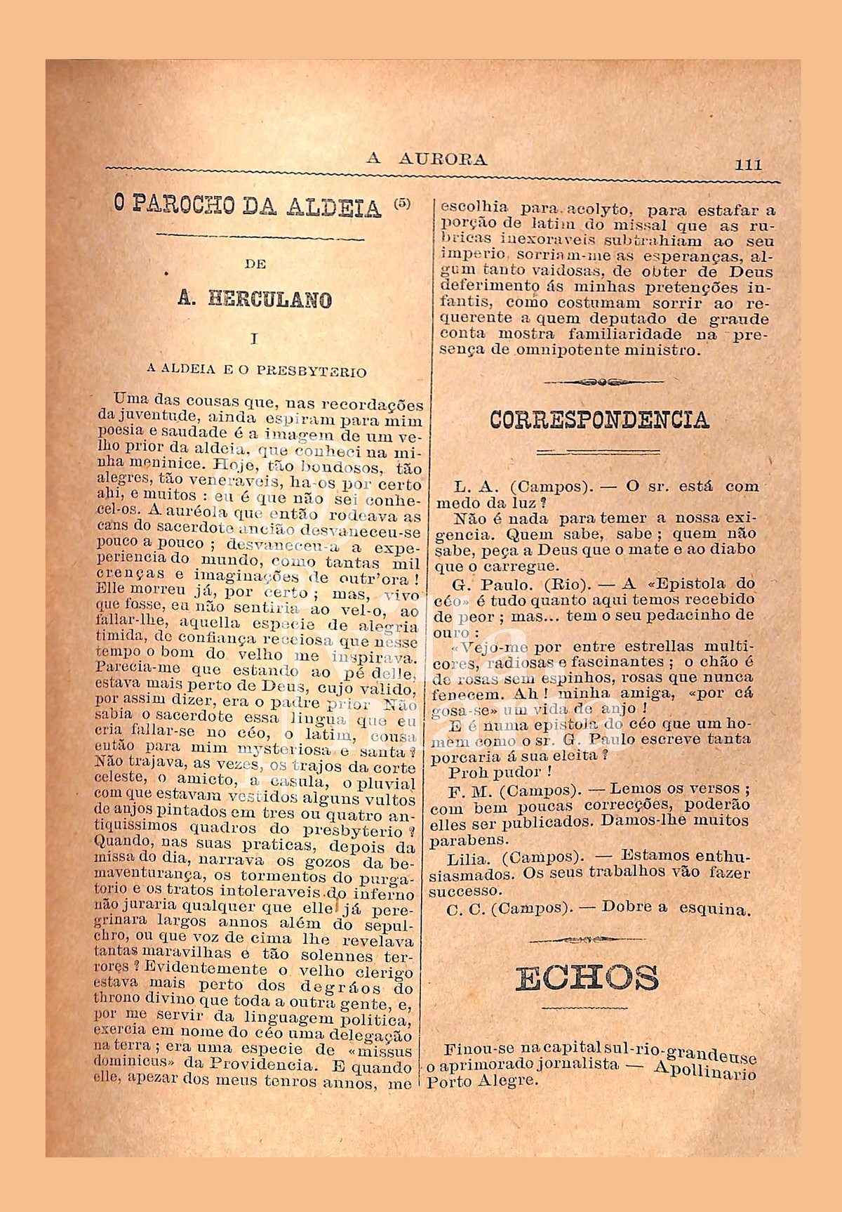 Página 113