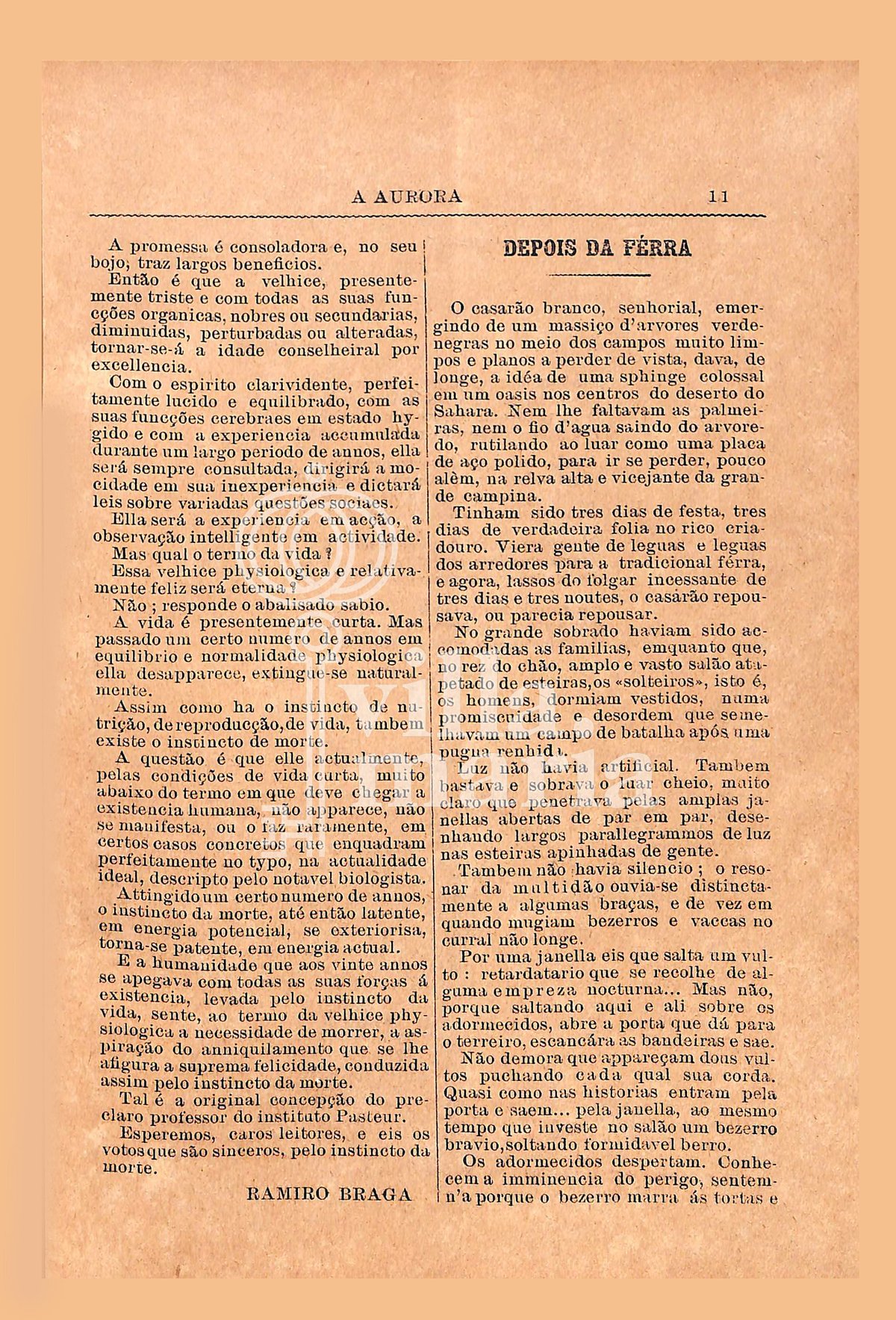 Página 13