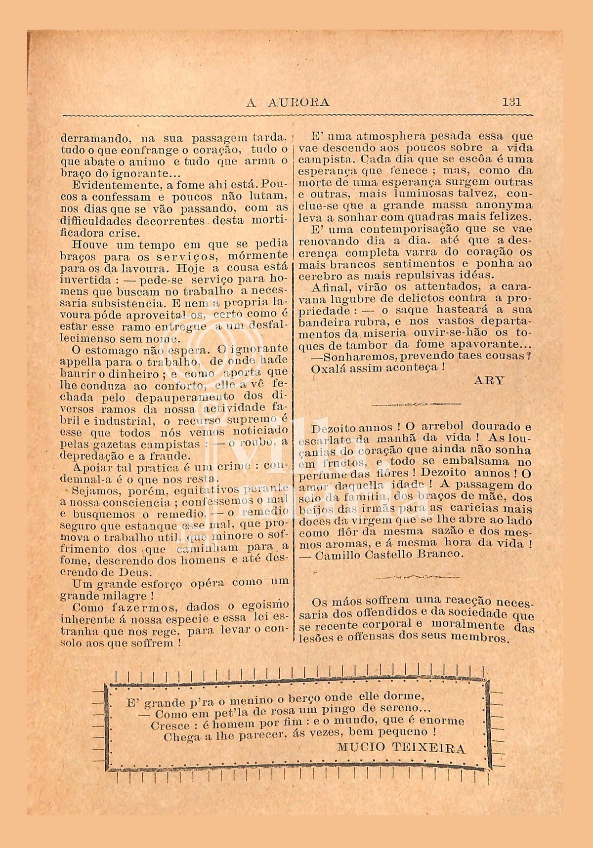 Página 133