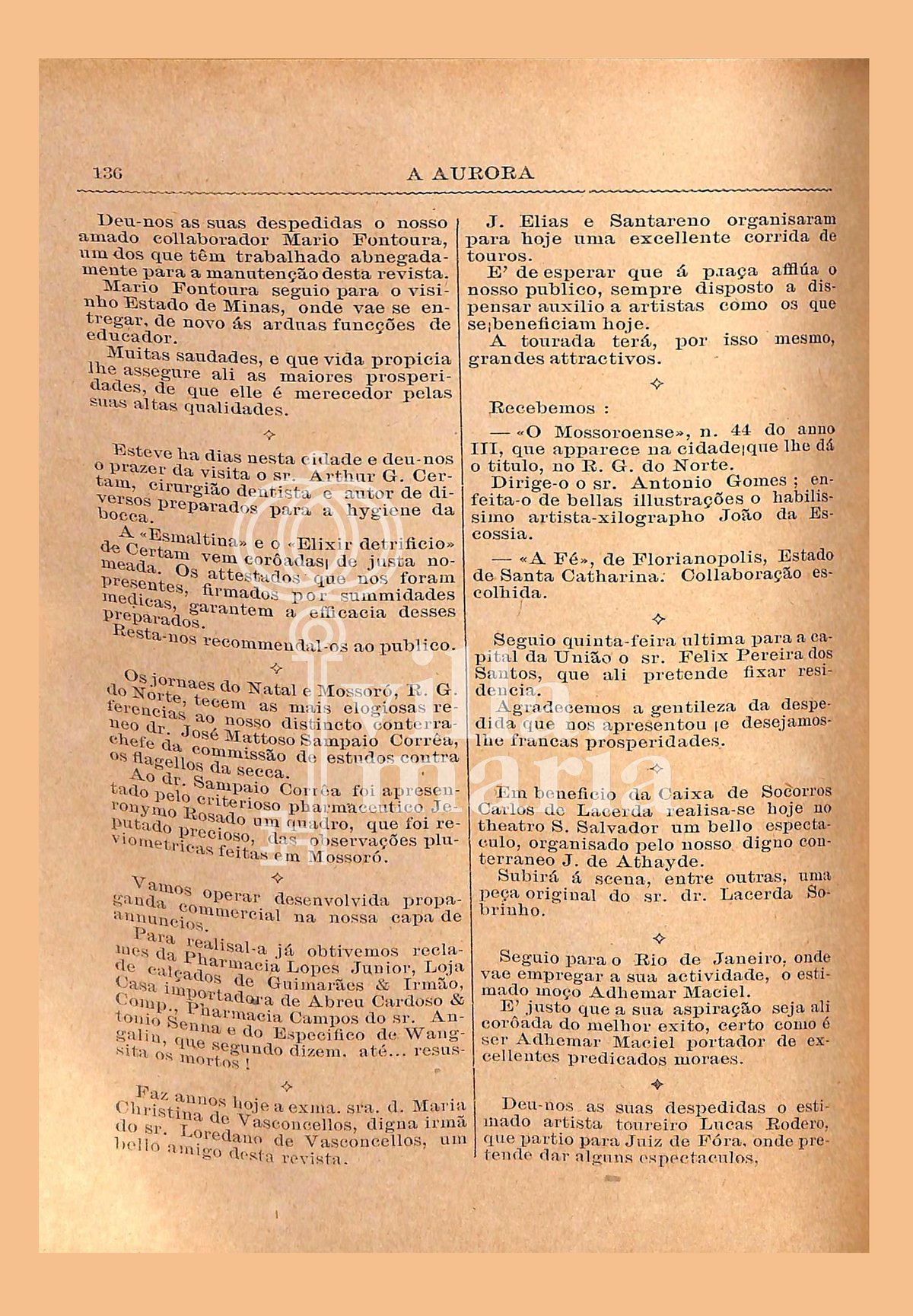Página 146