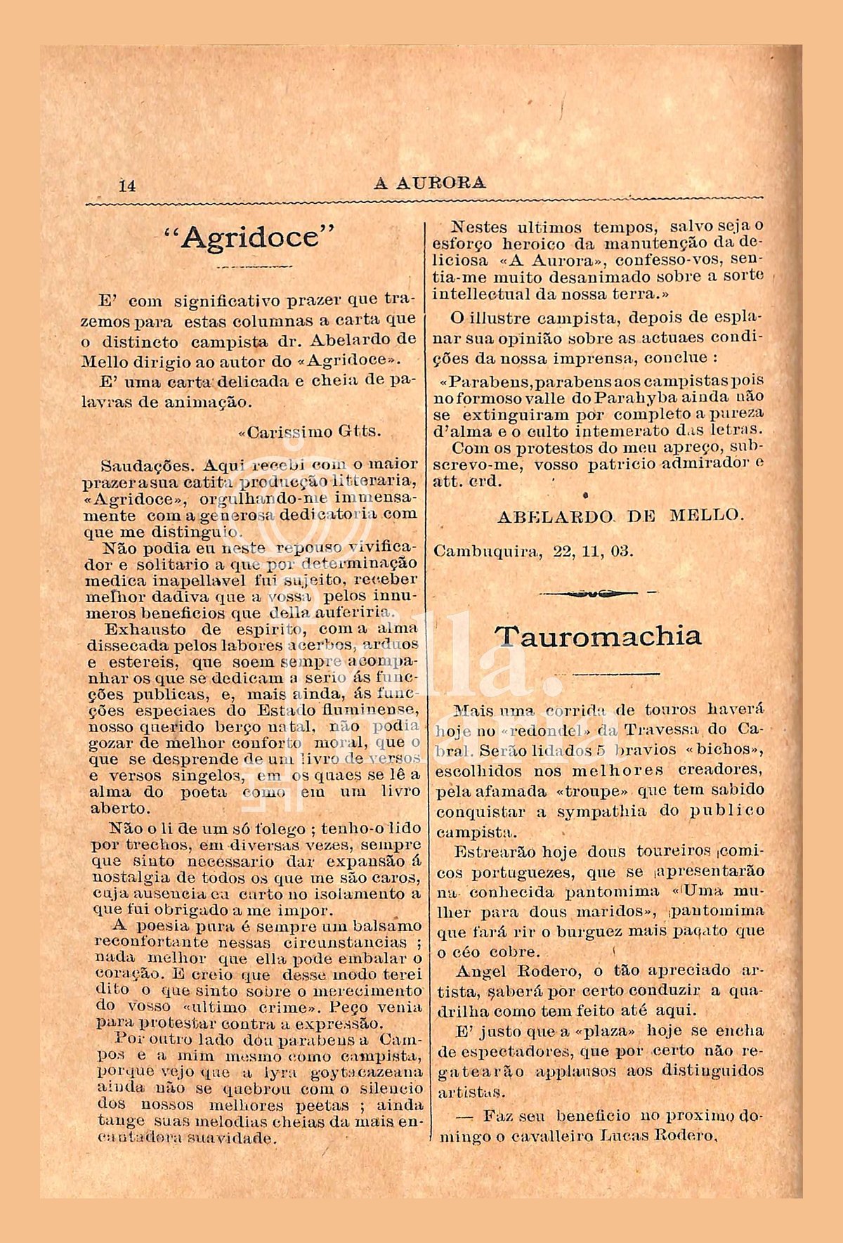 Página 16