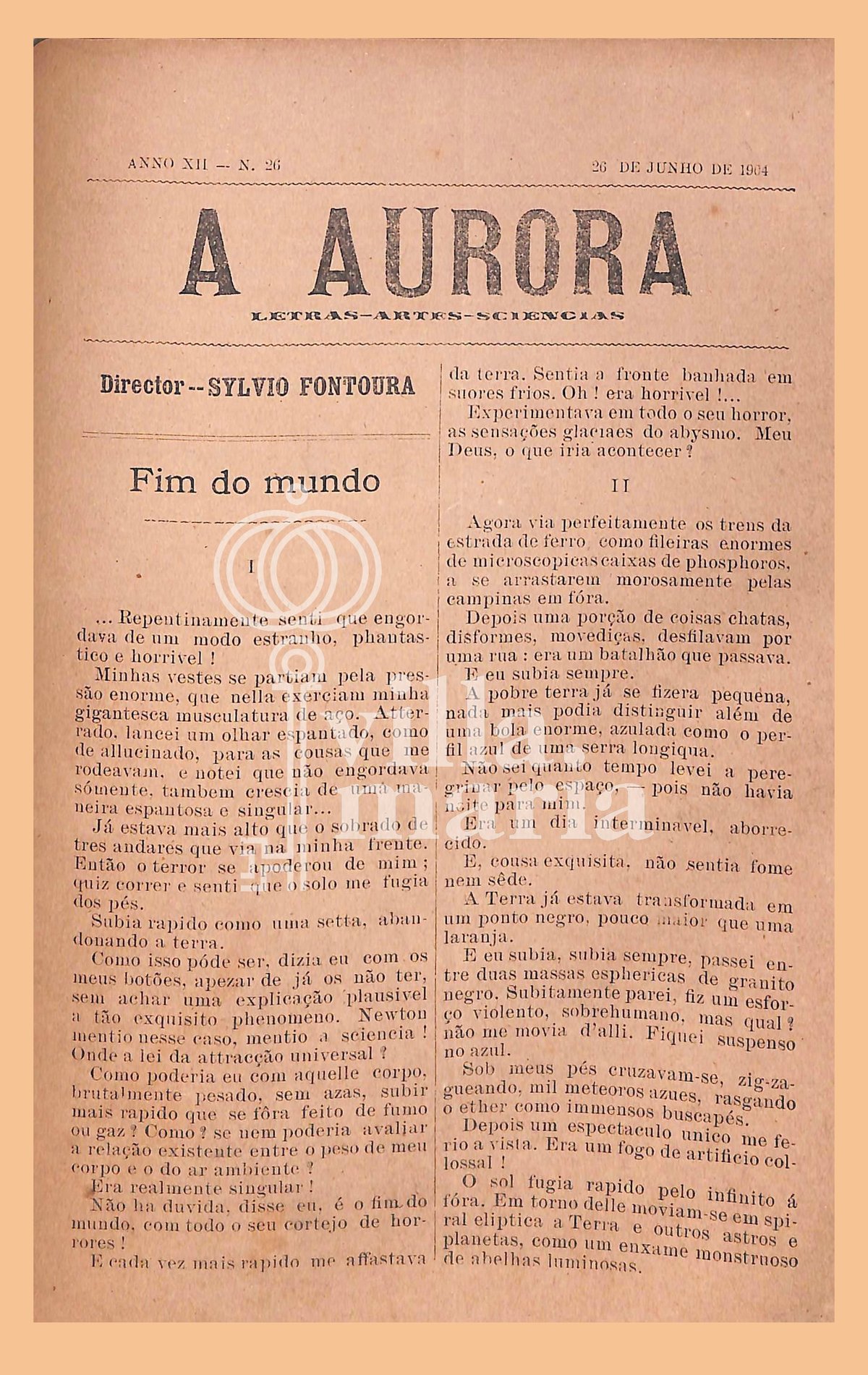Página 219