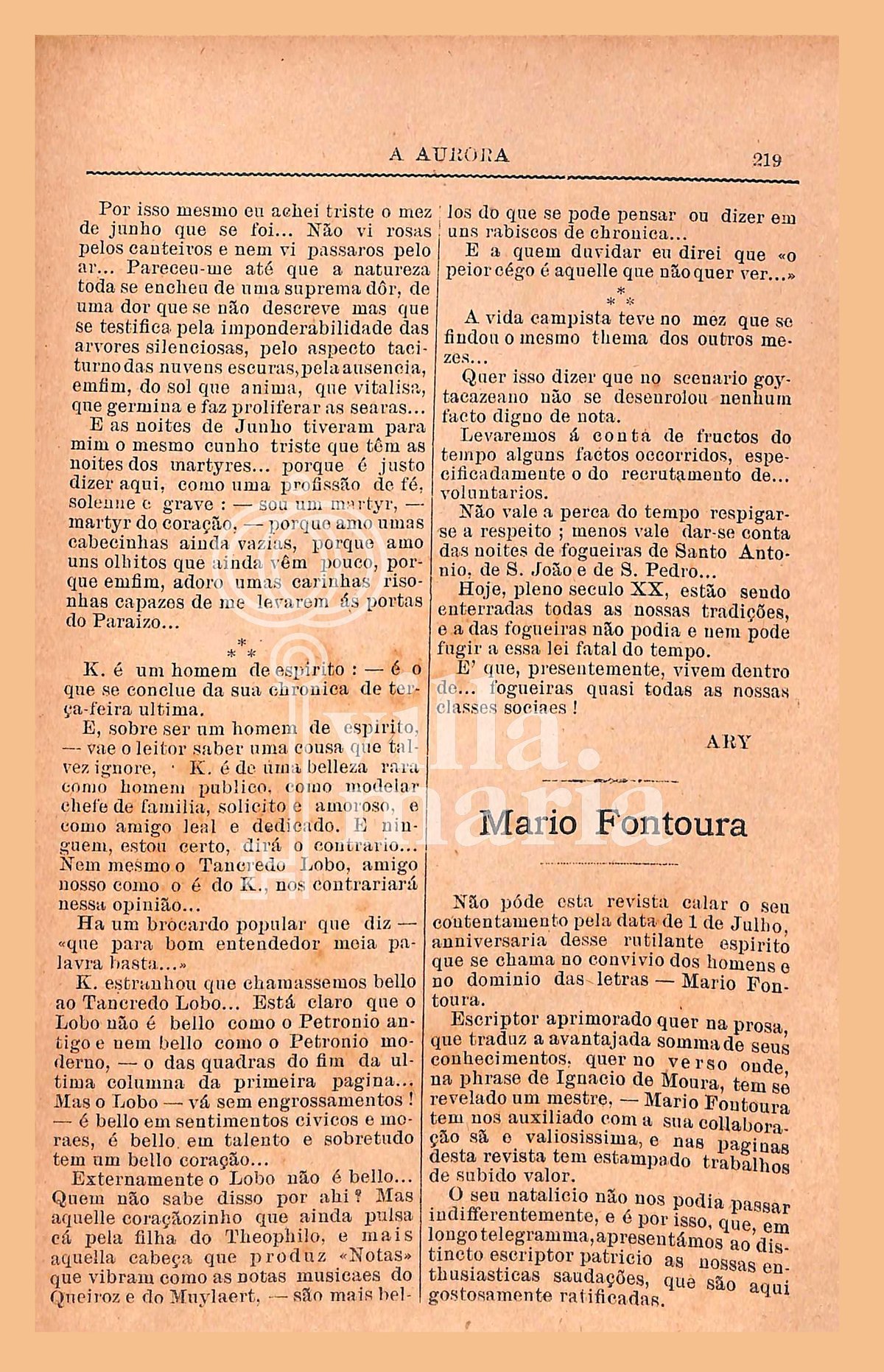 Página 229