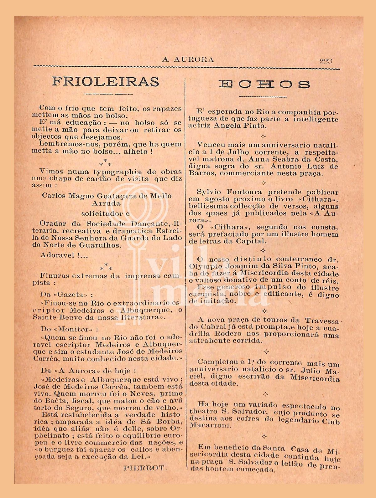Página 233