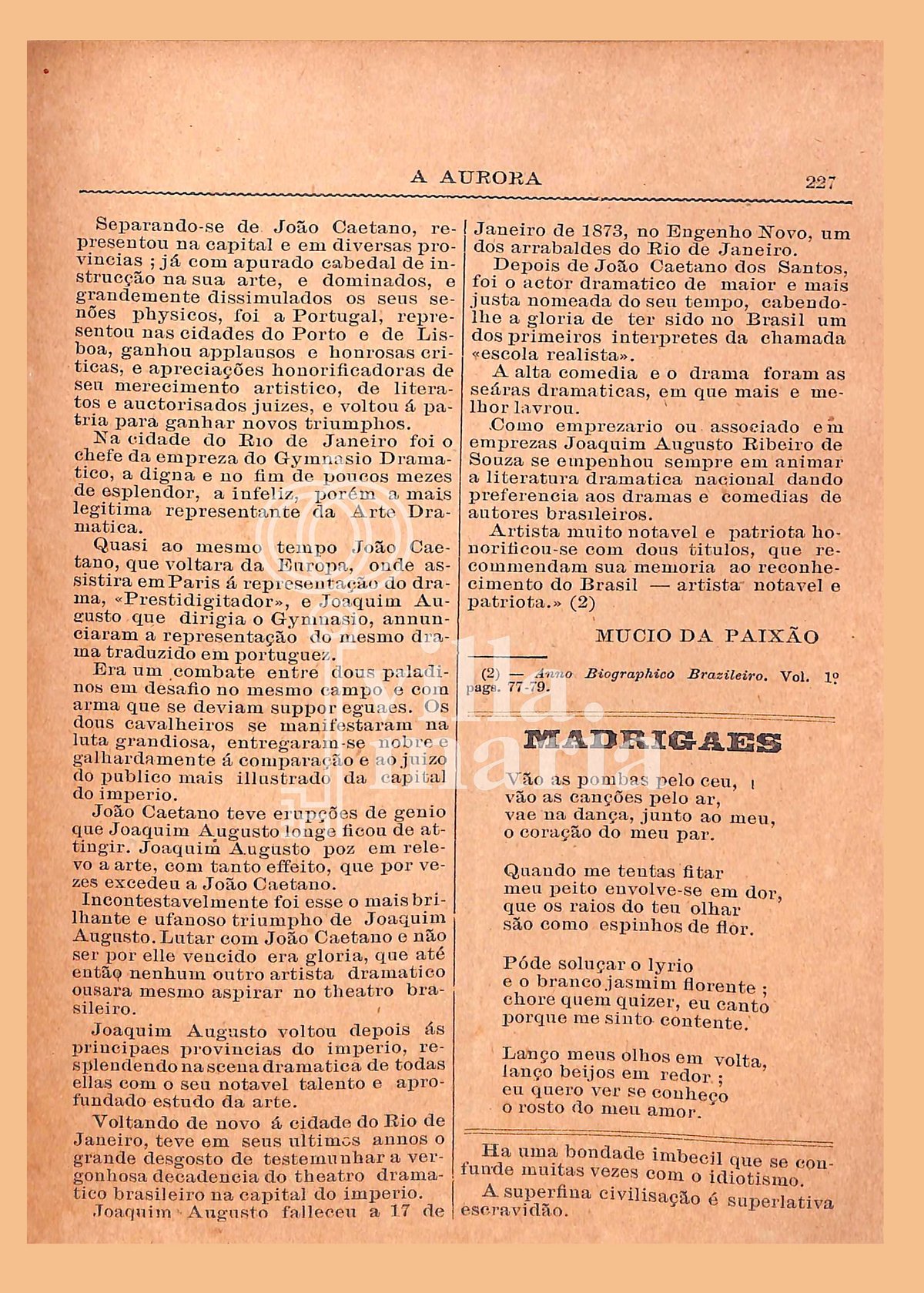 Página 237