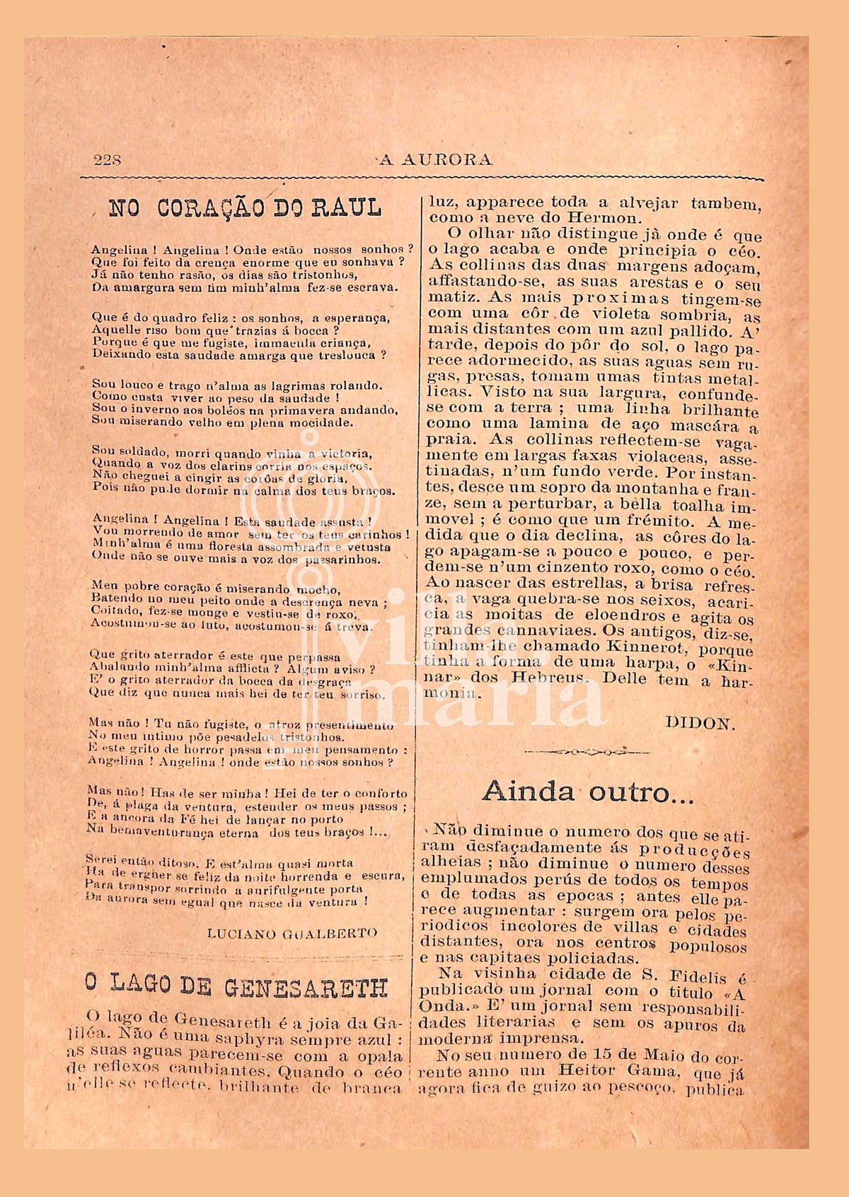 Página 238