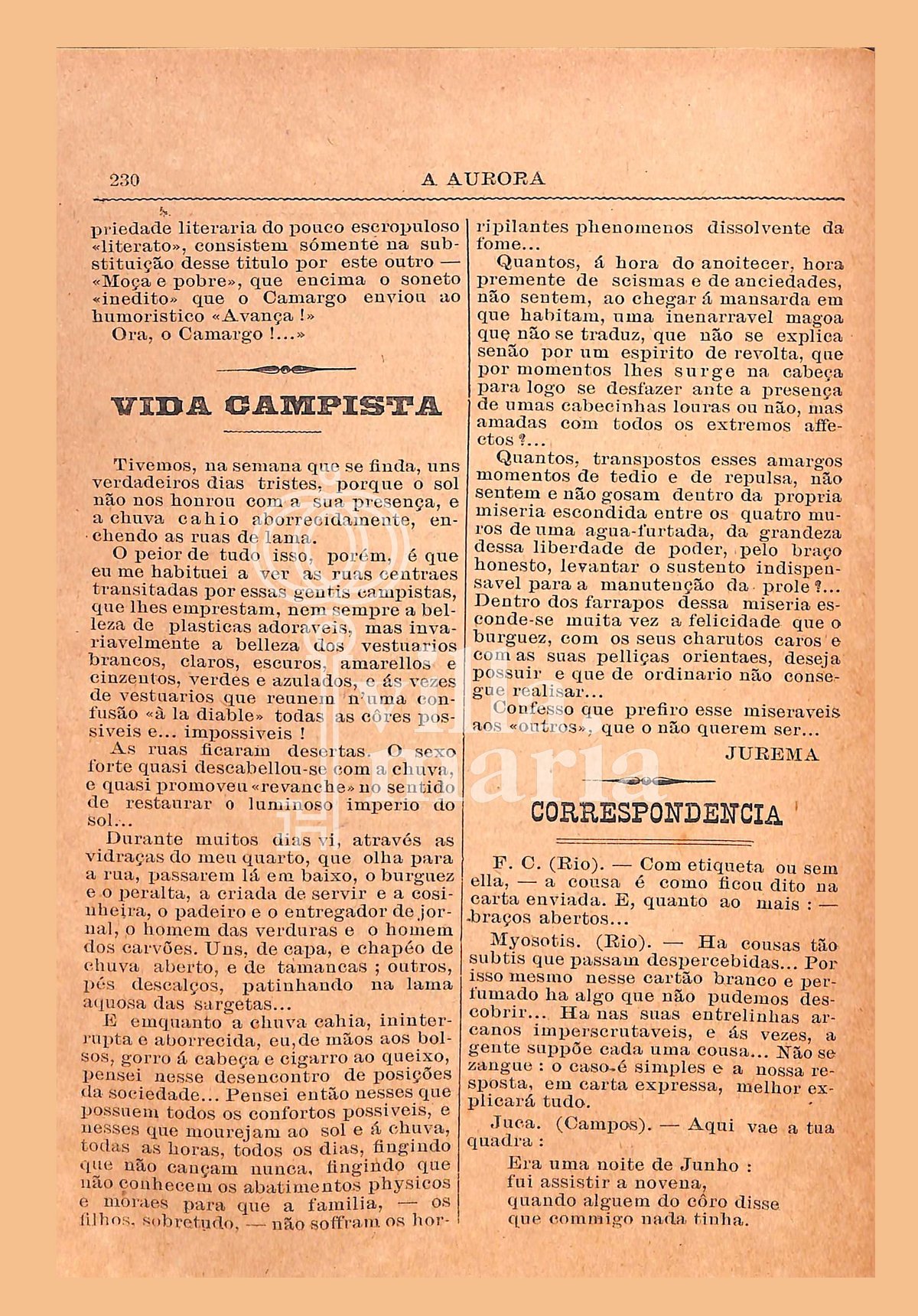 Página 240