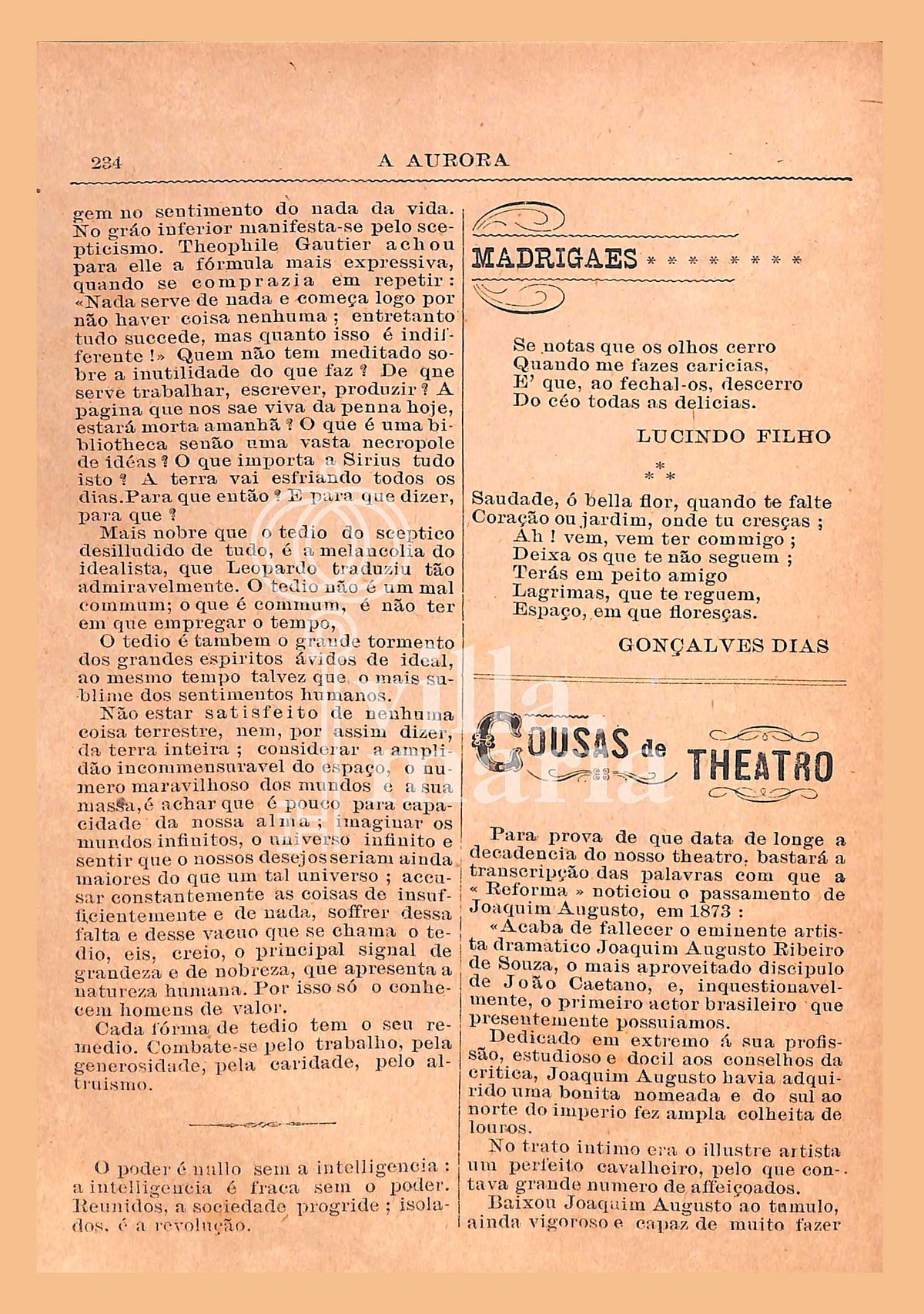 Página 244
