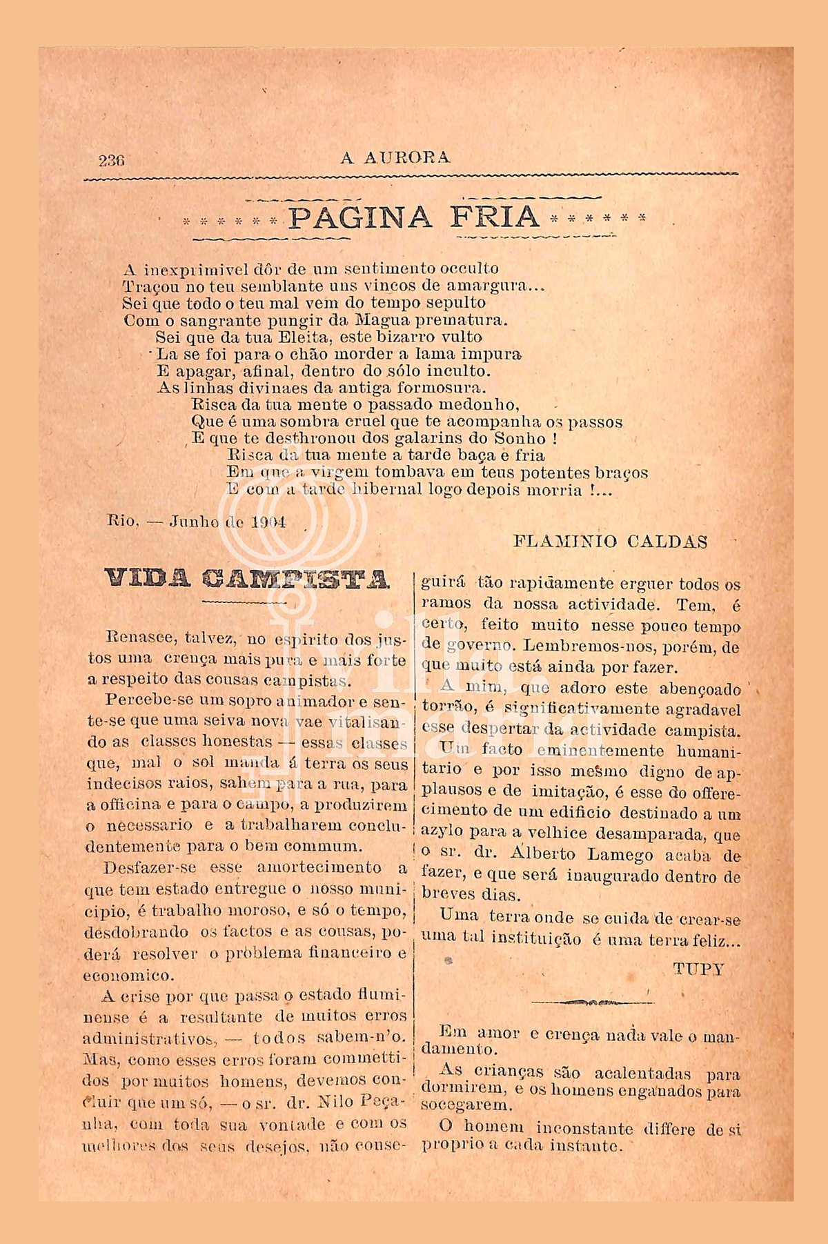 Página 246