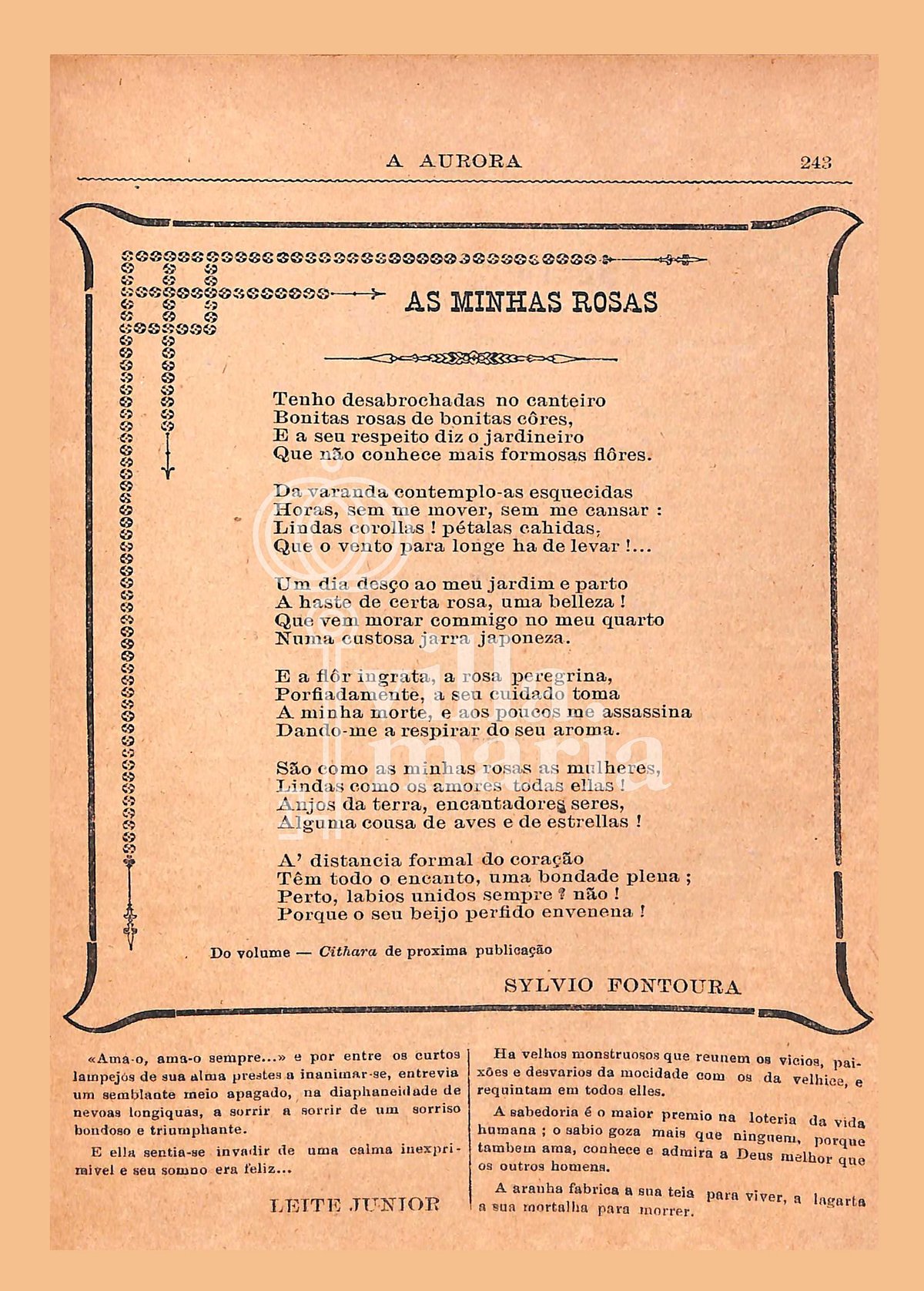 Página 253