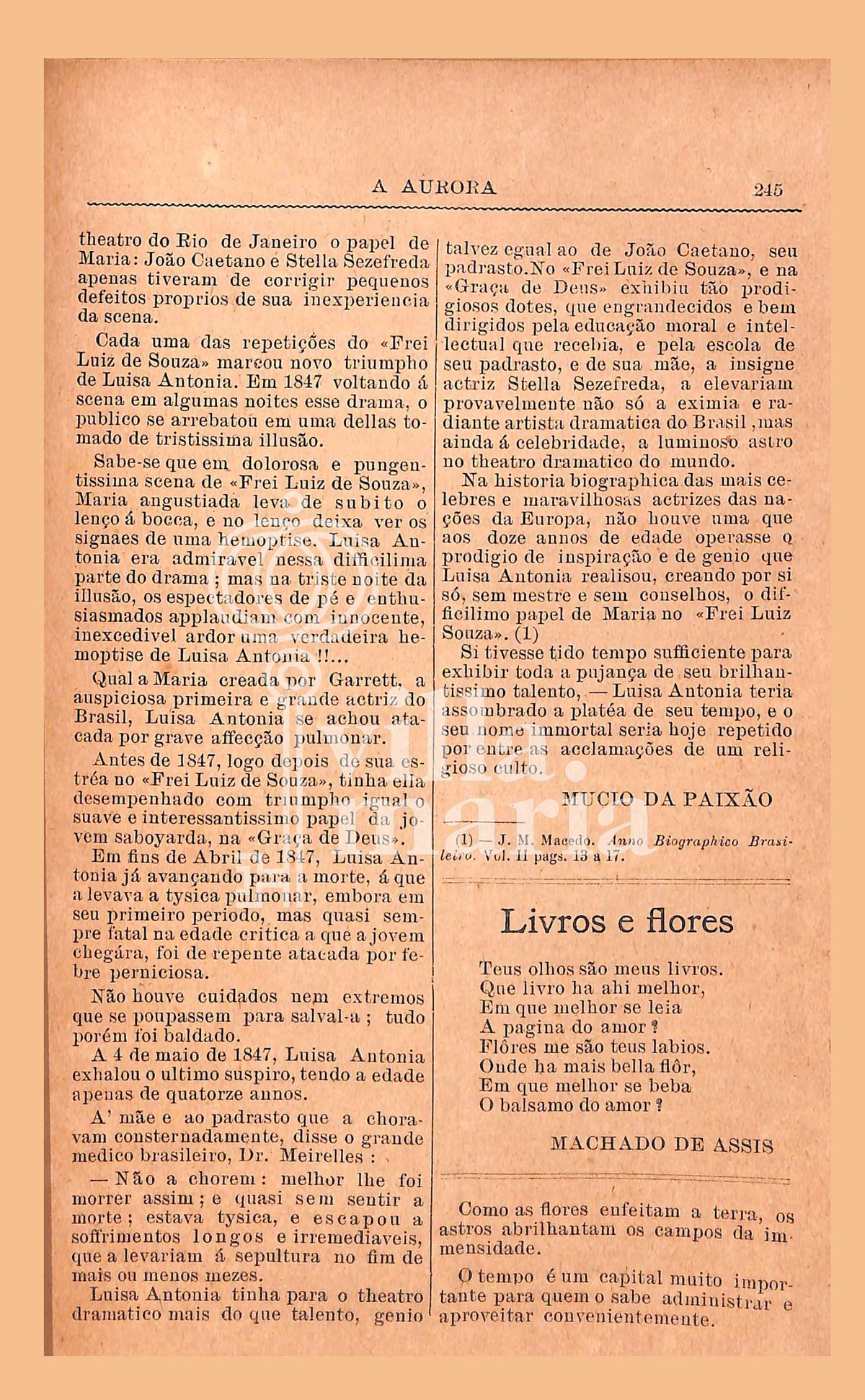 Página 255