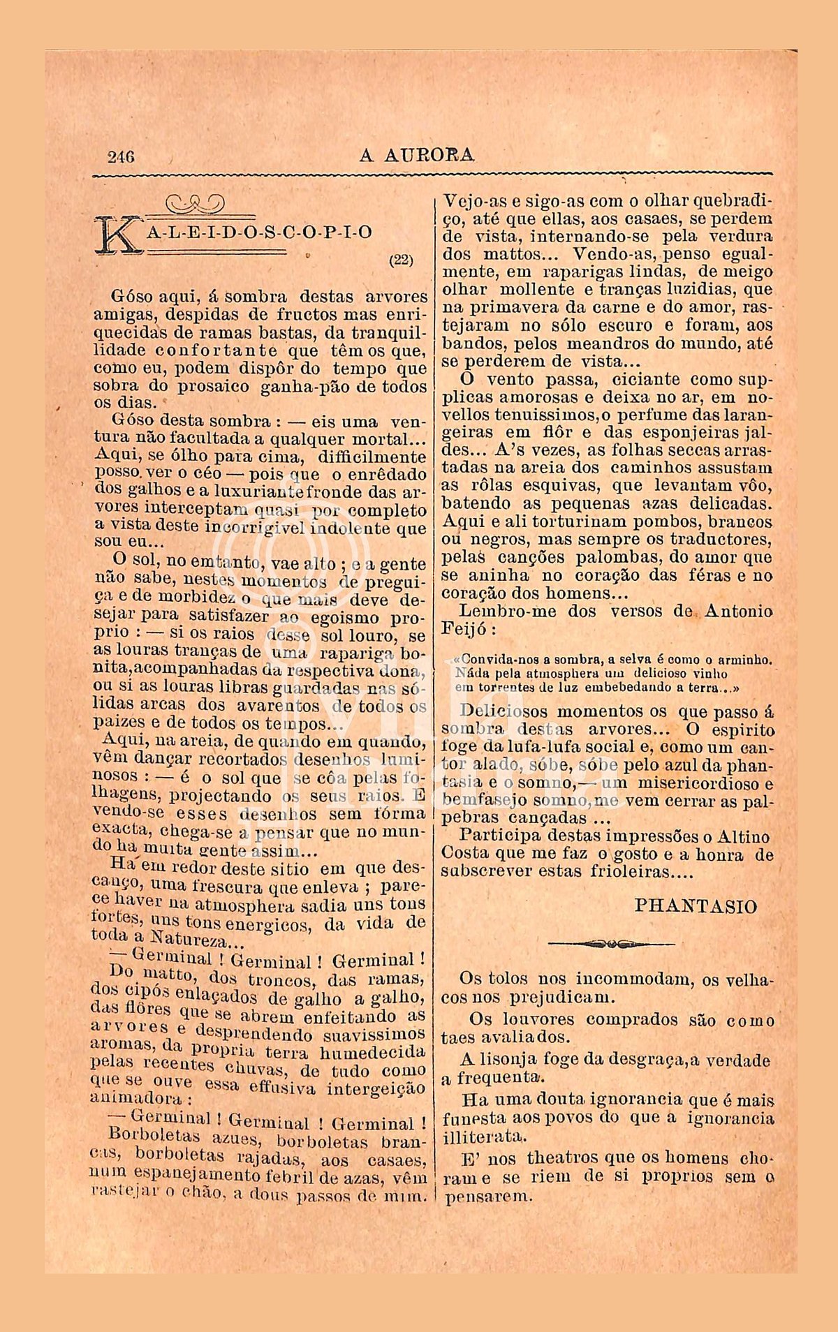 Página 256