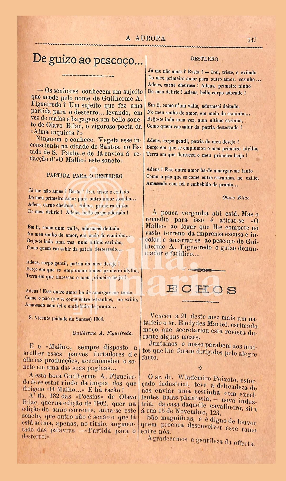 Página 257