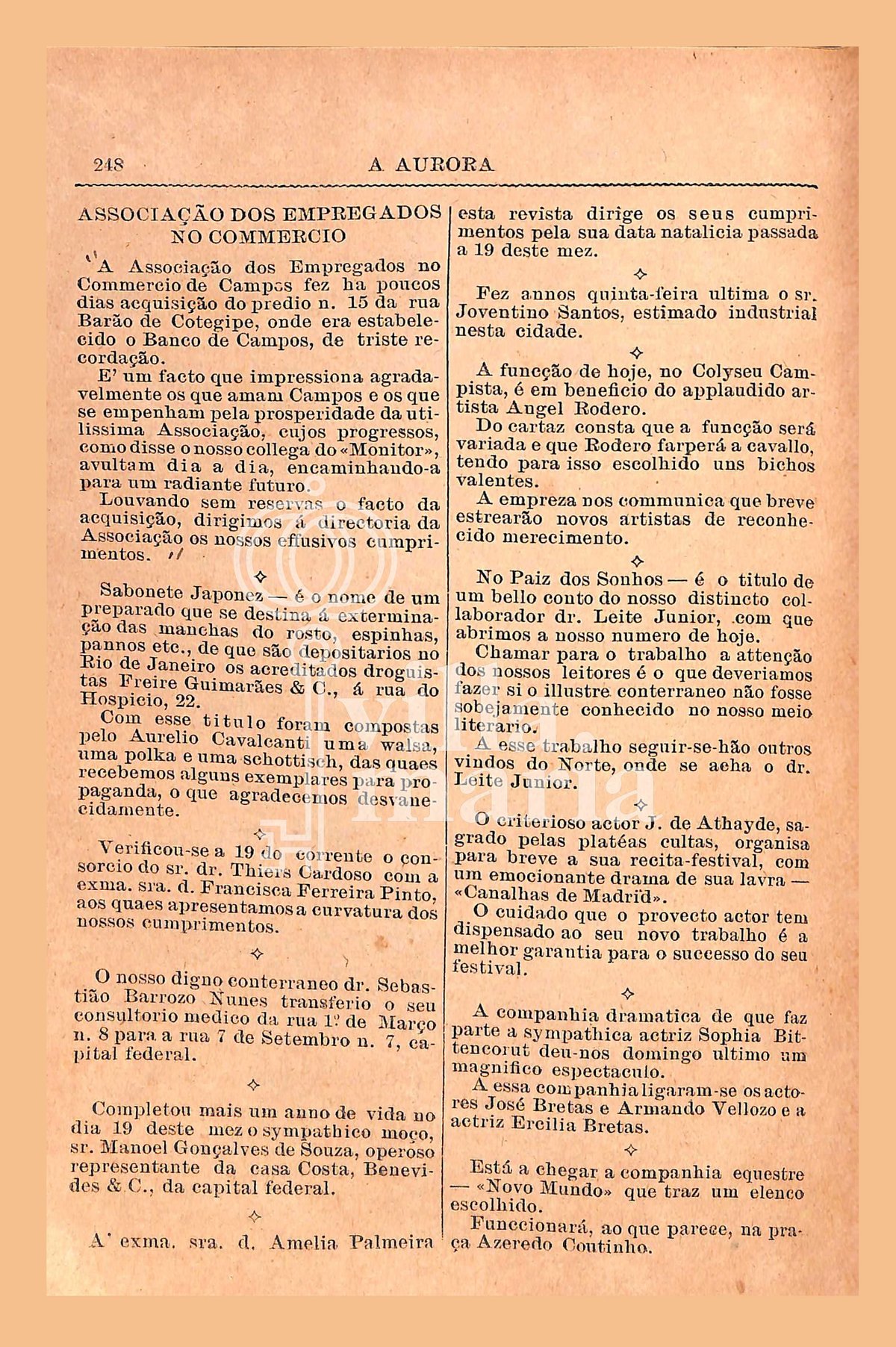 Página 258