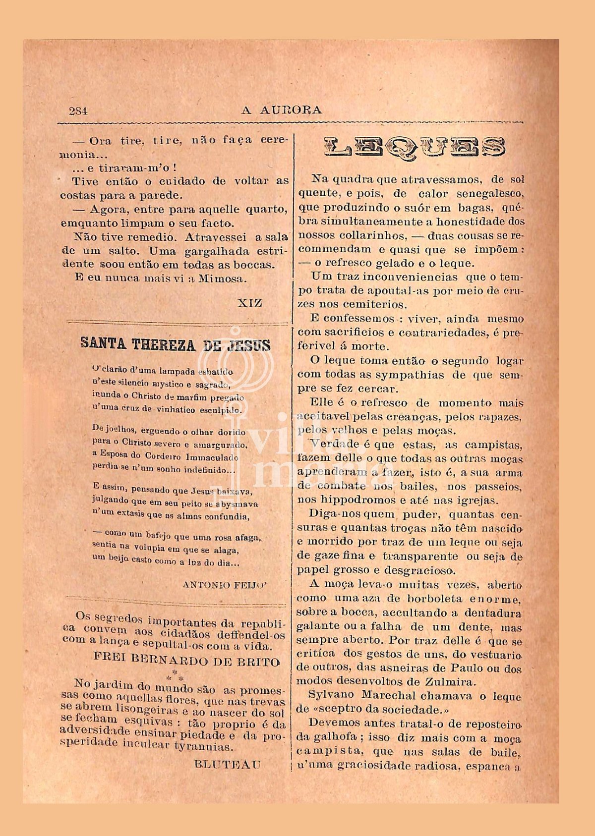 Página 294
