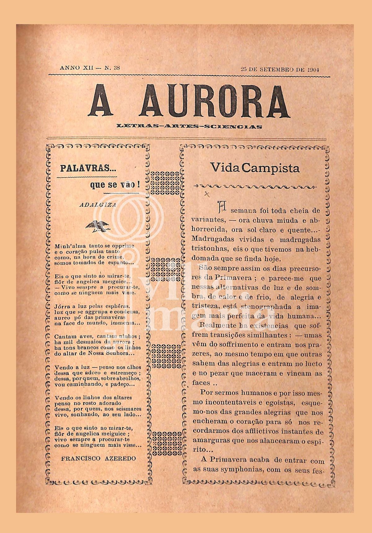 Página 315