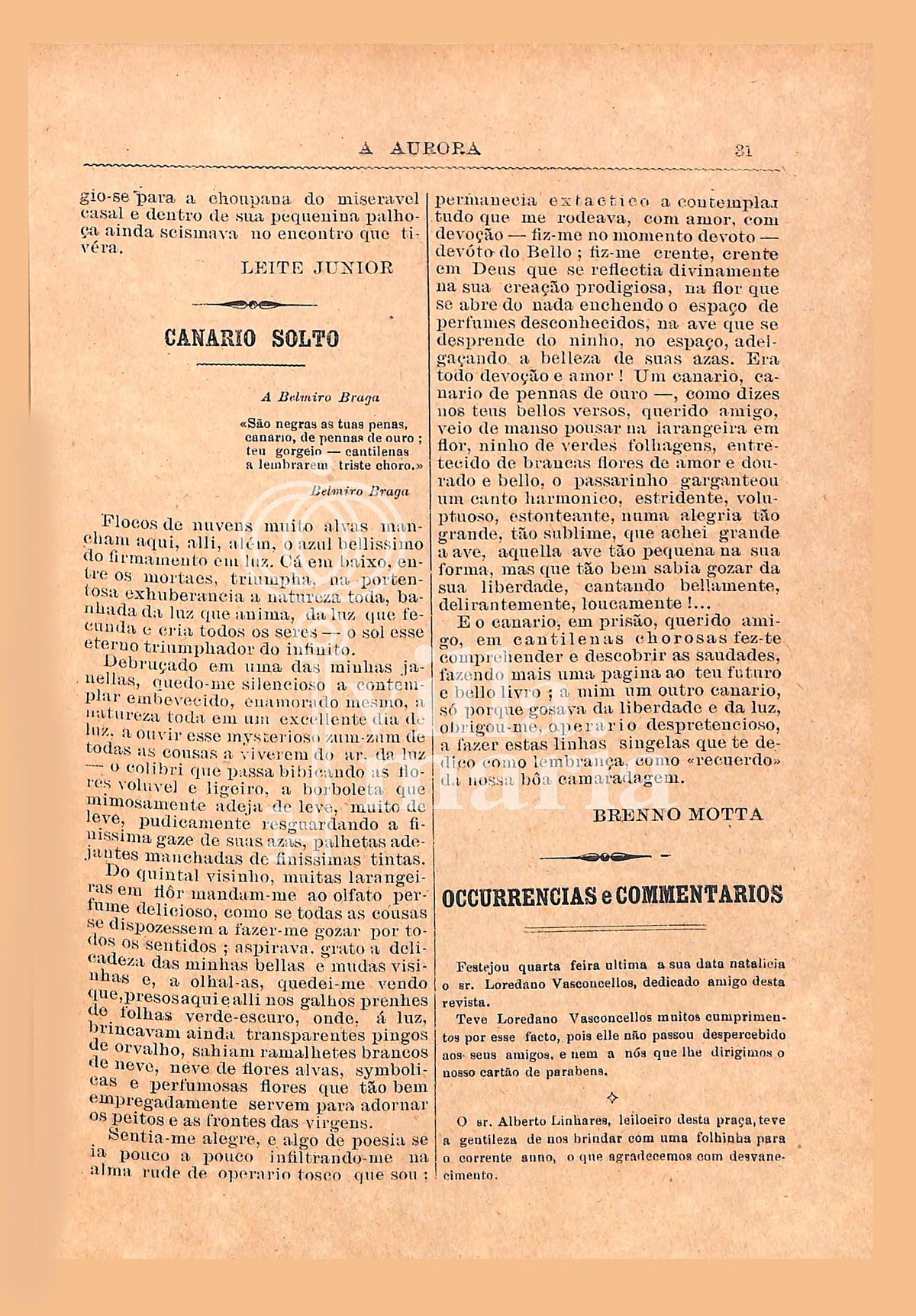 Página 33