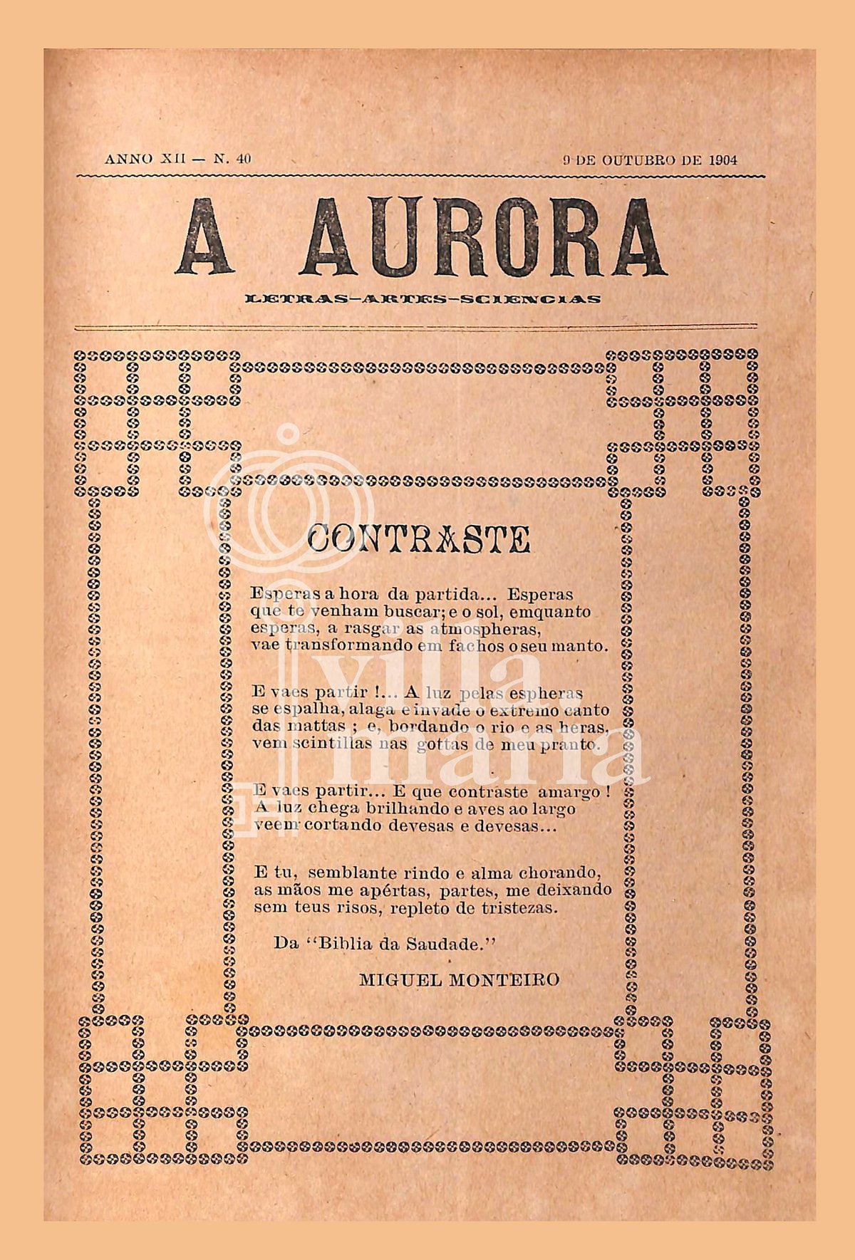 Página 331
