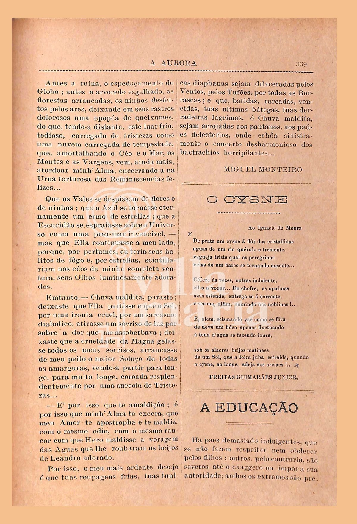 Página 349