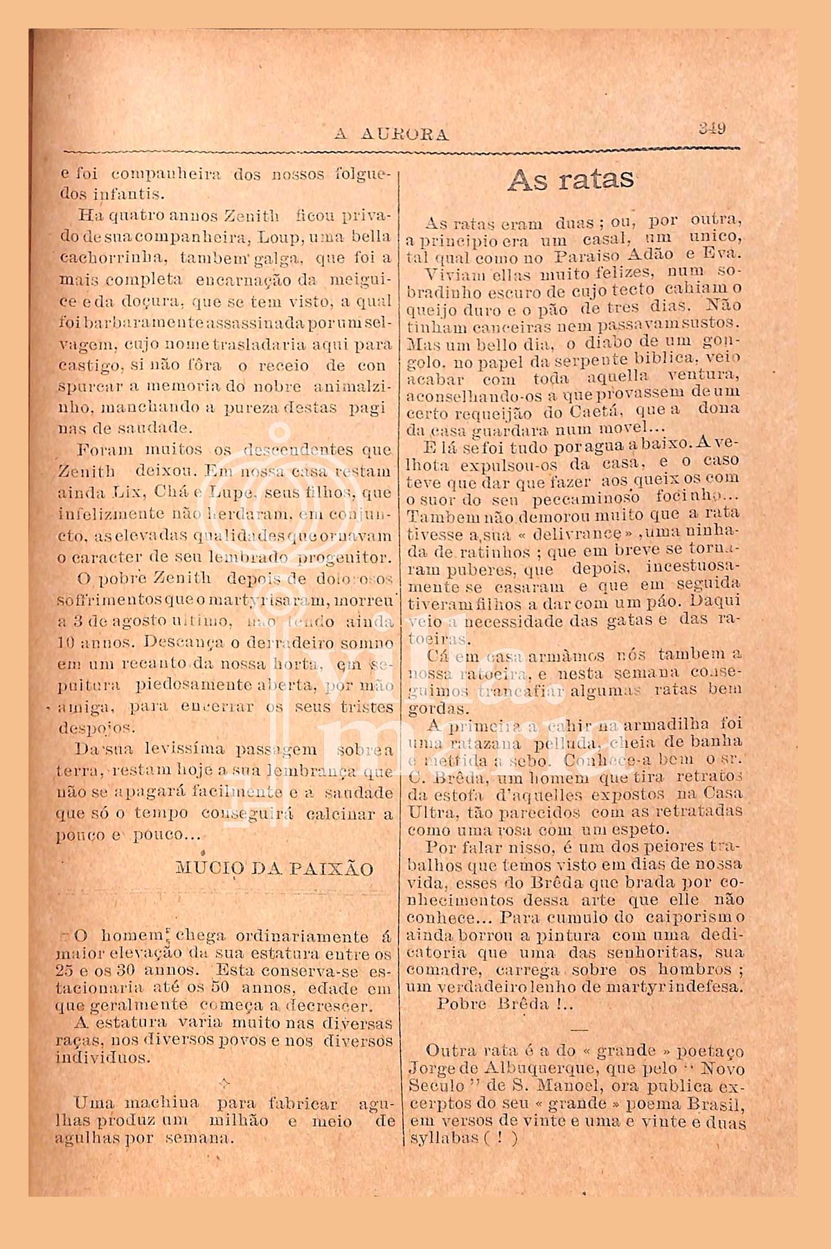 Página 359